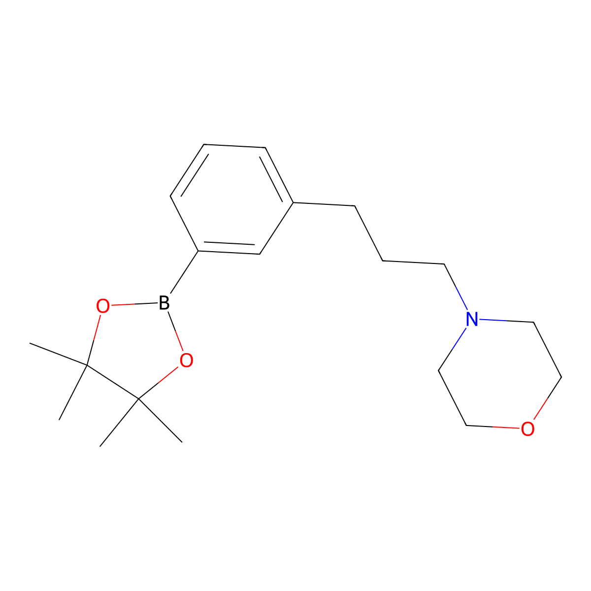 4-(3-(3-(4,4,5,5-Tetramethyl-1,3,2-dioxaborolan-2-yl)phenyl)propyl)morpholine molecular structure, CAS 1036991-26-0