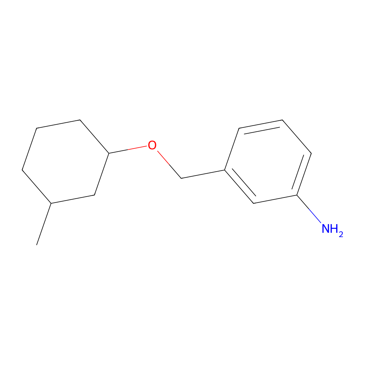 3-{[(3-Methylcyclohexyl)oxy]methyl}aniline molecular structure, CAS 1037157-93-9