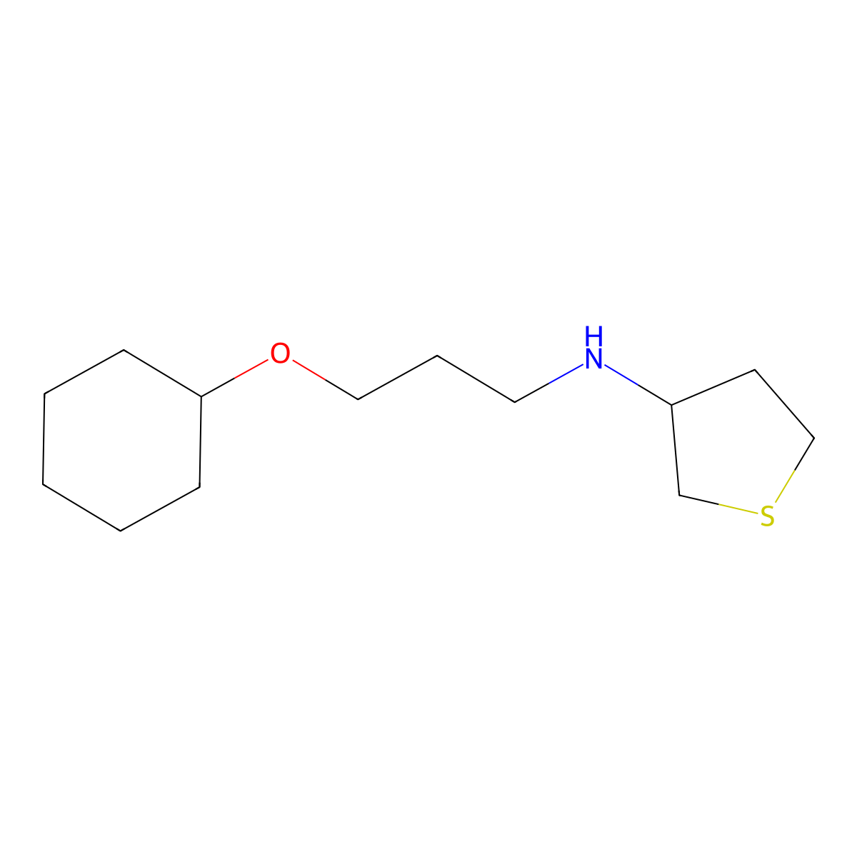 N-(3-(Cyclohexyloxy)propyl)tetrahydrothiophen-3-amine molecular structure, CAS 1038285-03-8