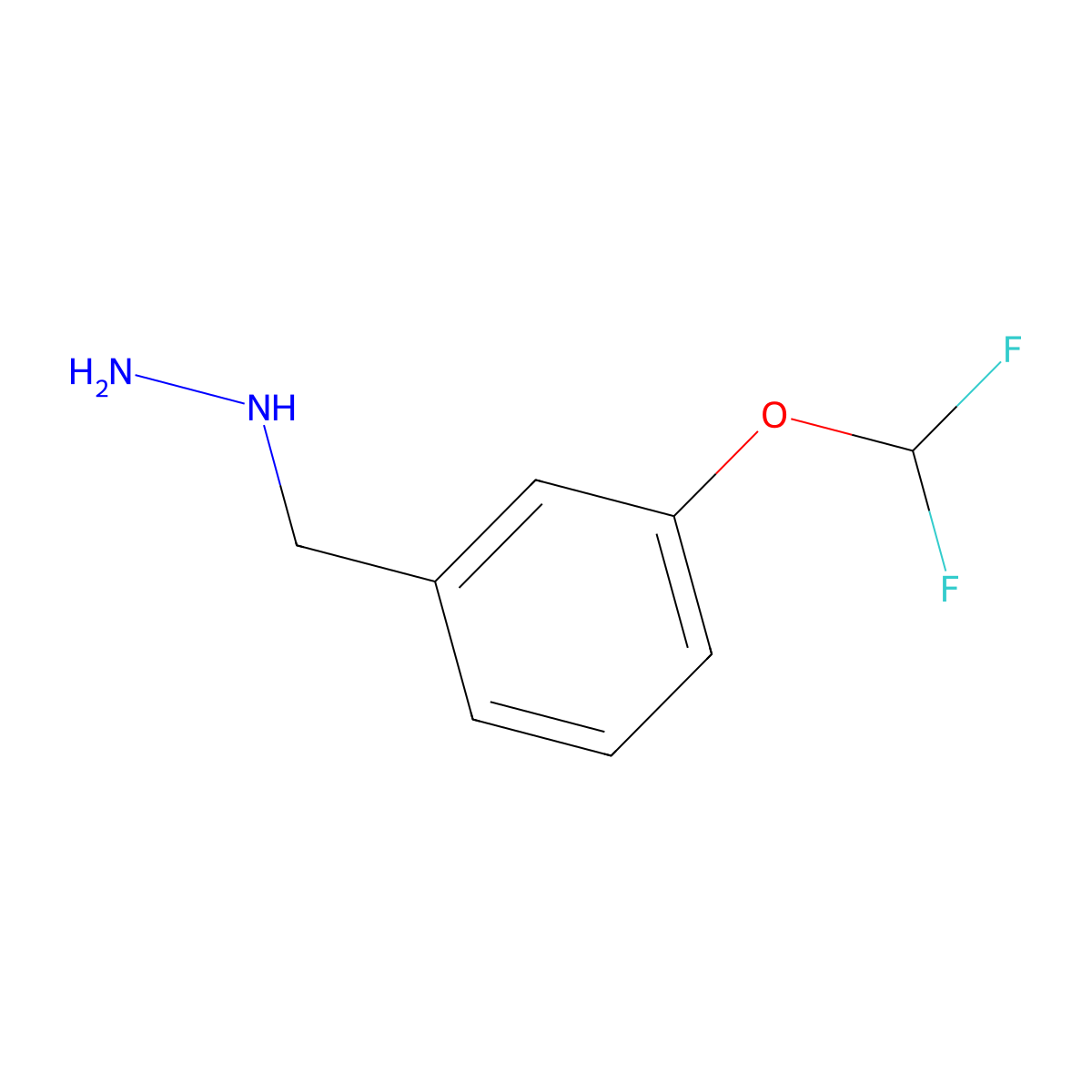 {[3-(Difluoromethoxy)phenyl]methyl}hydrazine molecular structure, CAS 1039877-35-4
