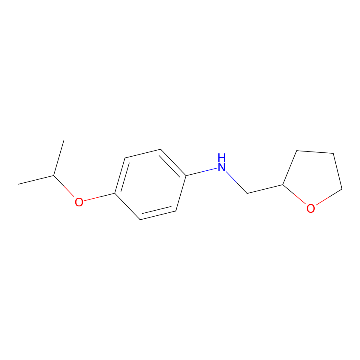 Tetrahydro-N-[4-(1-methylethoxy)phenyl]-2-furanmethanamine molecular structure, CAS 1039913-31-9