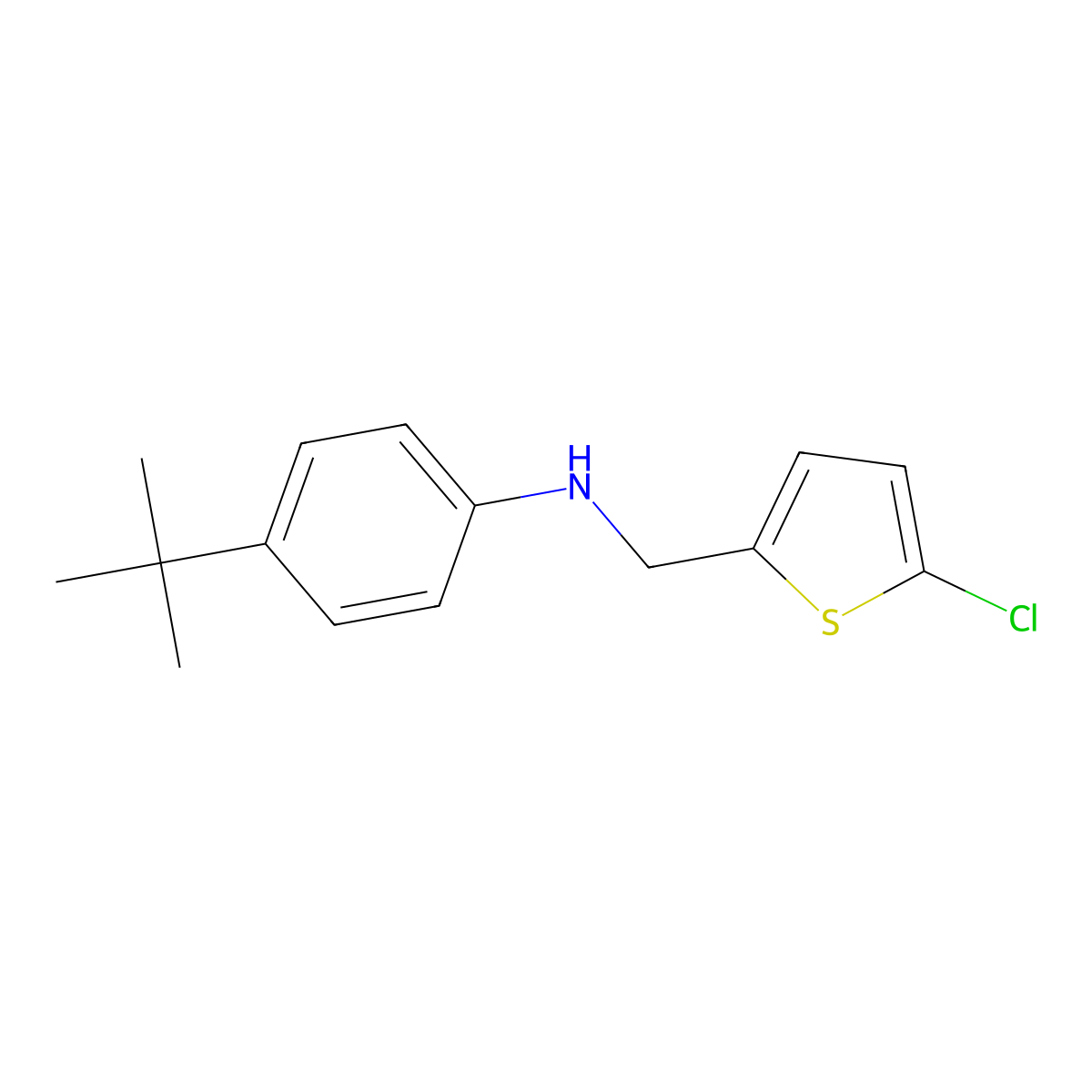4-tert-butyl-N-[(5-chlorothiophen-2-yl)methyl]aniline molecular structure, CAS 1039988-65-2