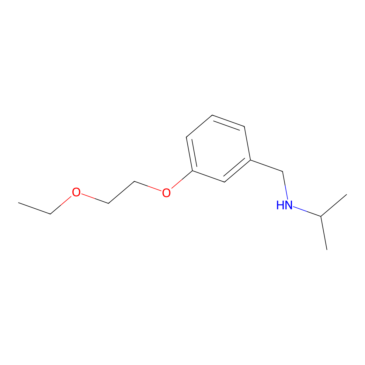N-[3-(2-Ethoxyethoxy)benzyl]-2-propanamine molecular structure, CAS 1040683-46-2