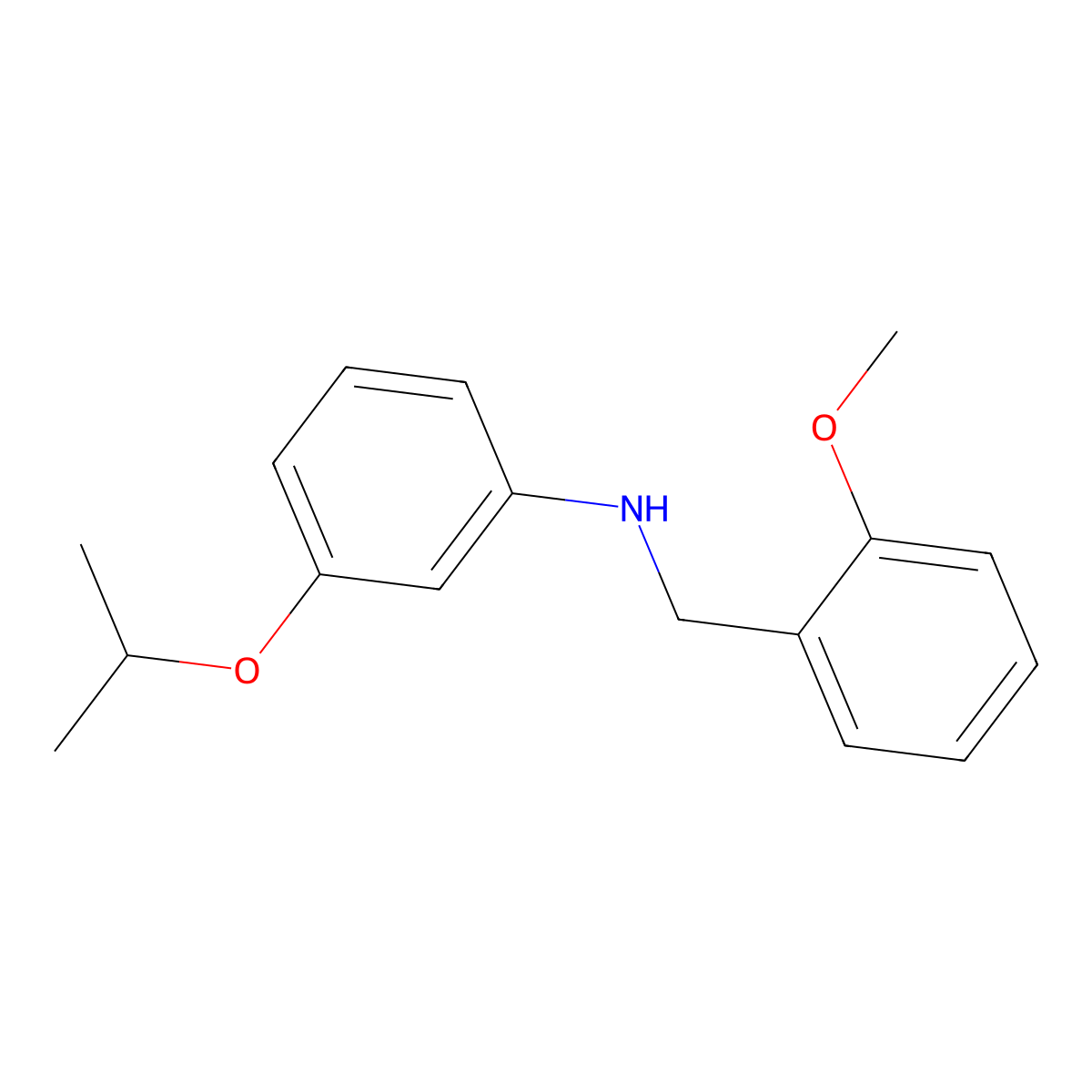 3-Isopropoxy-N-(2-methoxybenzyl)aniline molecular structure, CAS 1040684-18-1