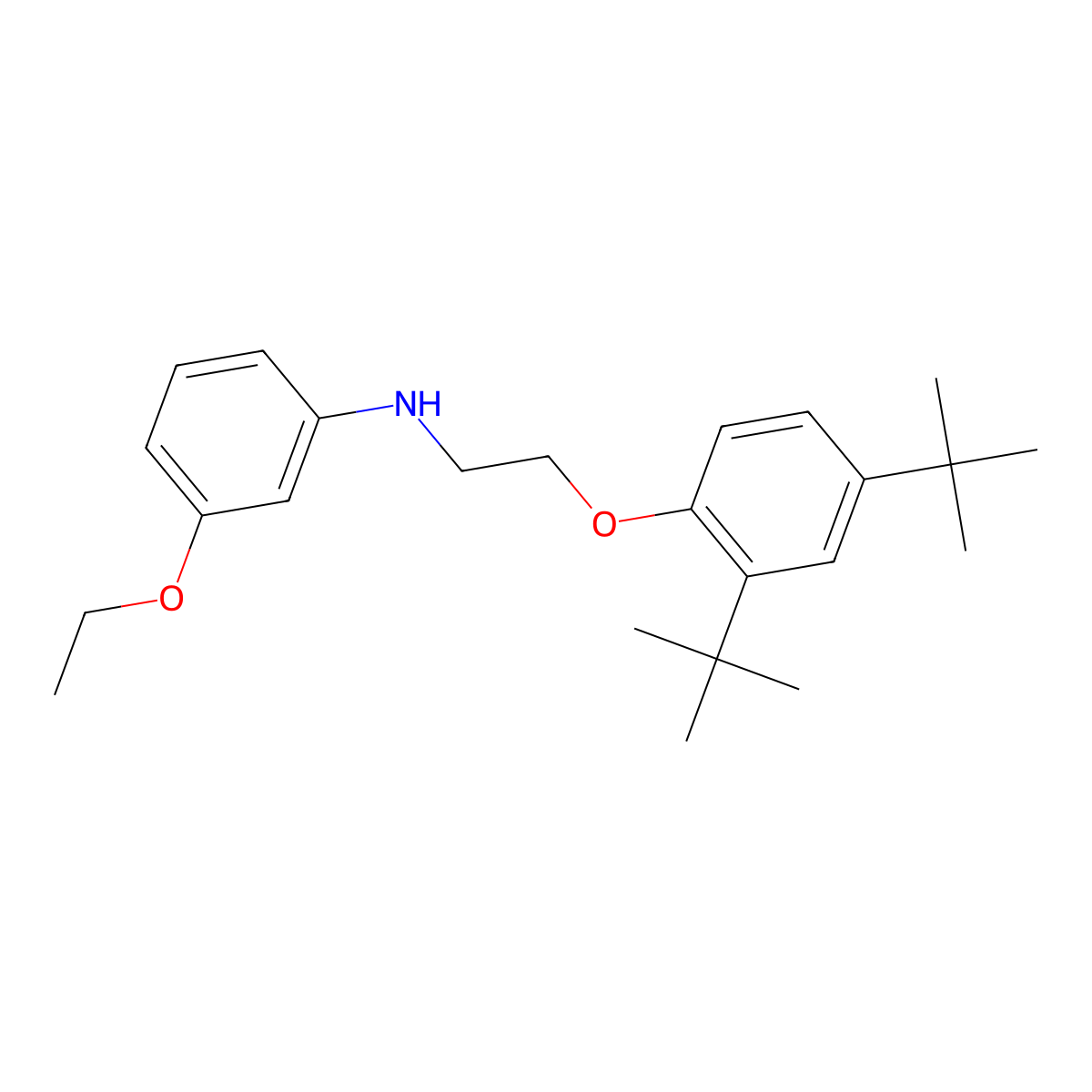 N-{2-[2,4-DI(Tert-butyl)phenoxy]ethyl}-3-ethoxyaniline molecular structure, CAS 1040685-69-5