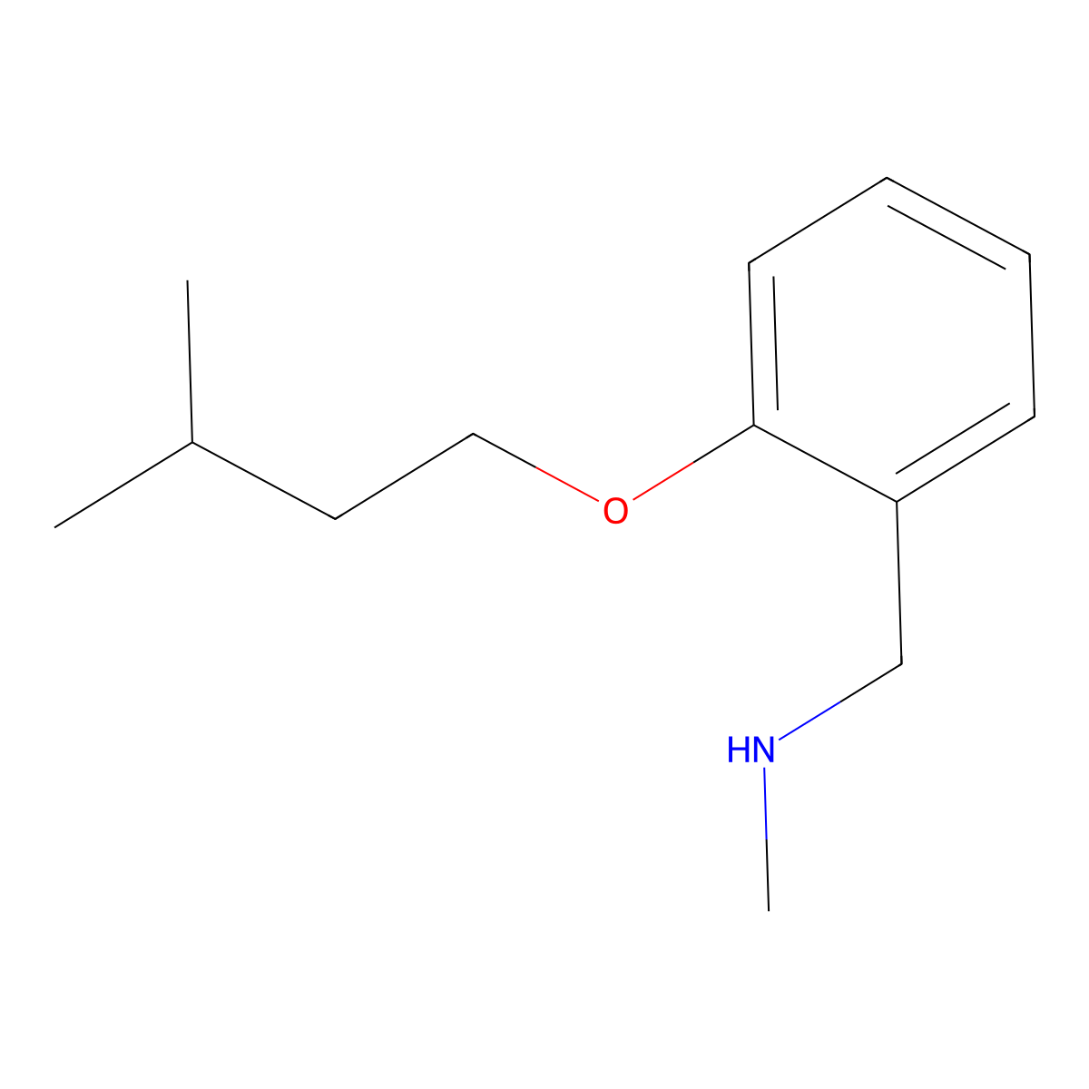 [2-(Isopentyloxy)phenyl]-N-methylmethanamine molecular structure, CAS 1040686-62-1