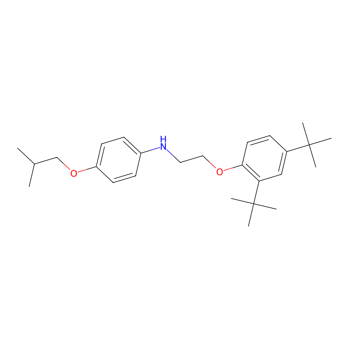 N-{2-[2,4-DI(Tert-butyl)phenoxy]ethyl}-4-isobutoxyaniline molecular structure, CAS 1040688-35-4