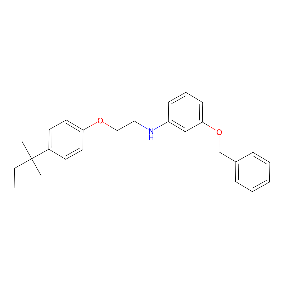 3-(Benzyloxy)-N-{2-[4-(tert-pentyl)phenoxy]-ethyl}aniline molecular structure, CAS 1040689-00-6