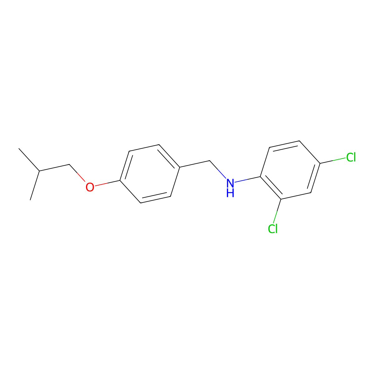 2,4-Dichloro-N-(4-isobutoxybenzyl)aniline molecular structure, CAS 1040691-36-8