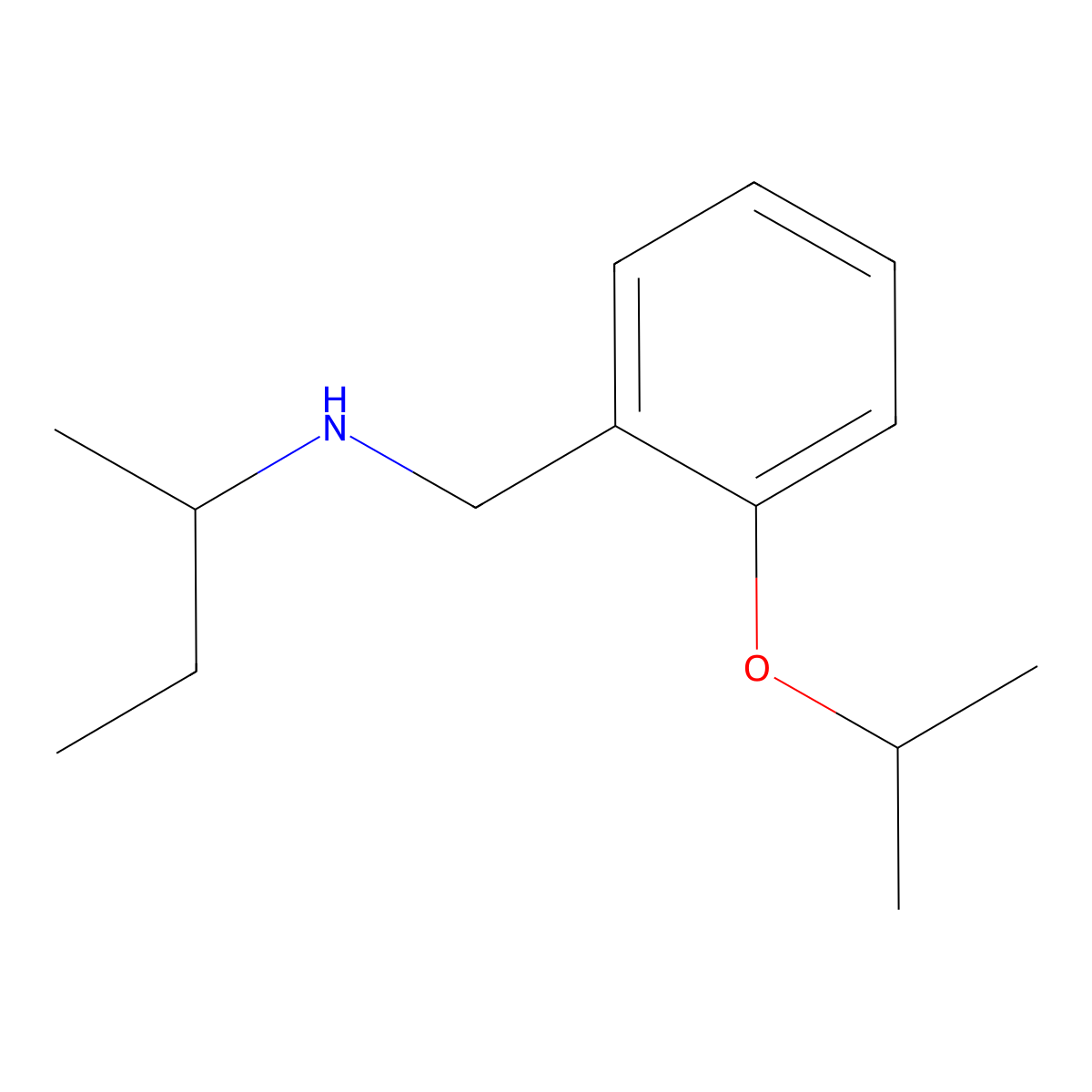 N-(2-Isopropoxybenzyl)-2-butanamine molecular structure, CAS 1040692-78-1