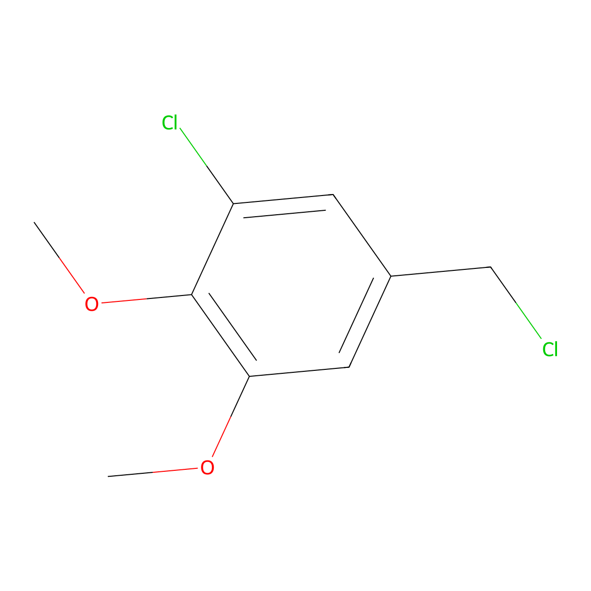 1-Chloro-5-(chloromethyl)-2,3-dimethoxybenzene molecular structure, CAS 104113-74-8