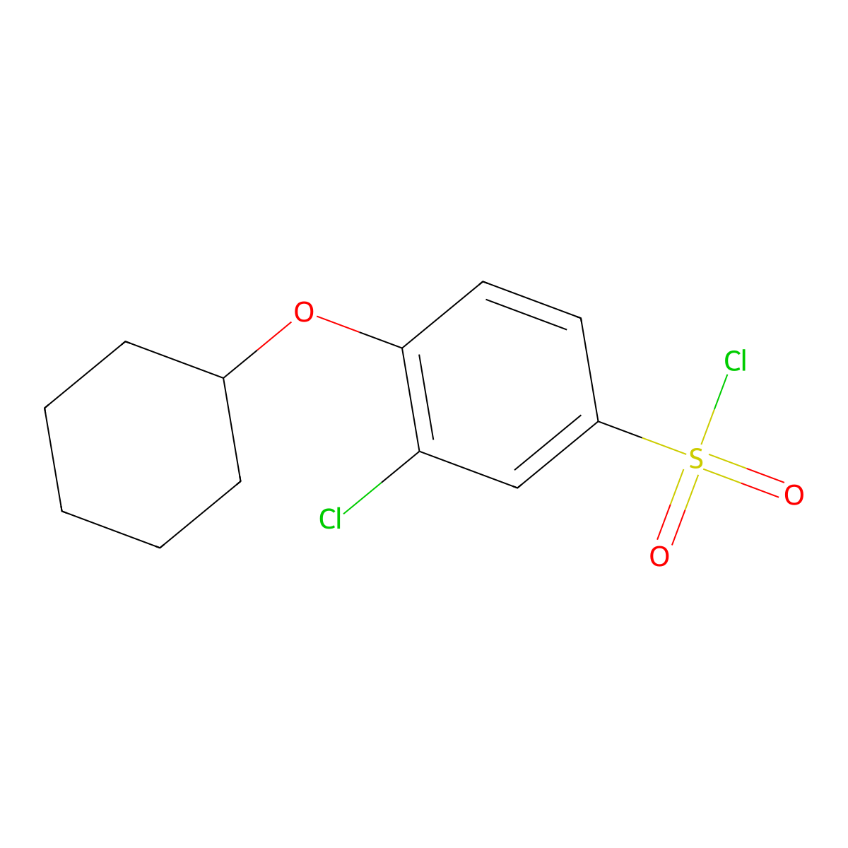 3-Chloro-4-(cyclohexyloxy)benzene-1-sulfonyl chloride molecular structure, CAS 1041531-84-3