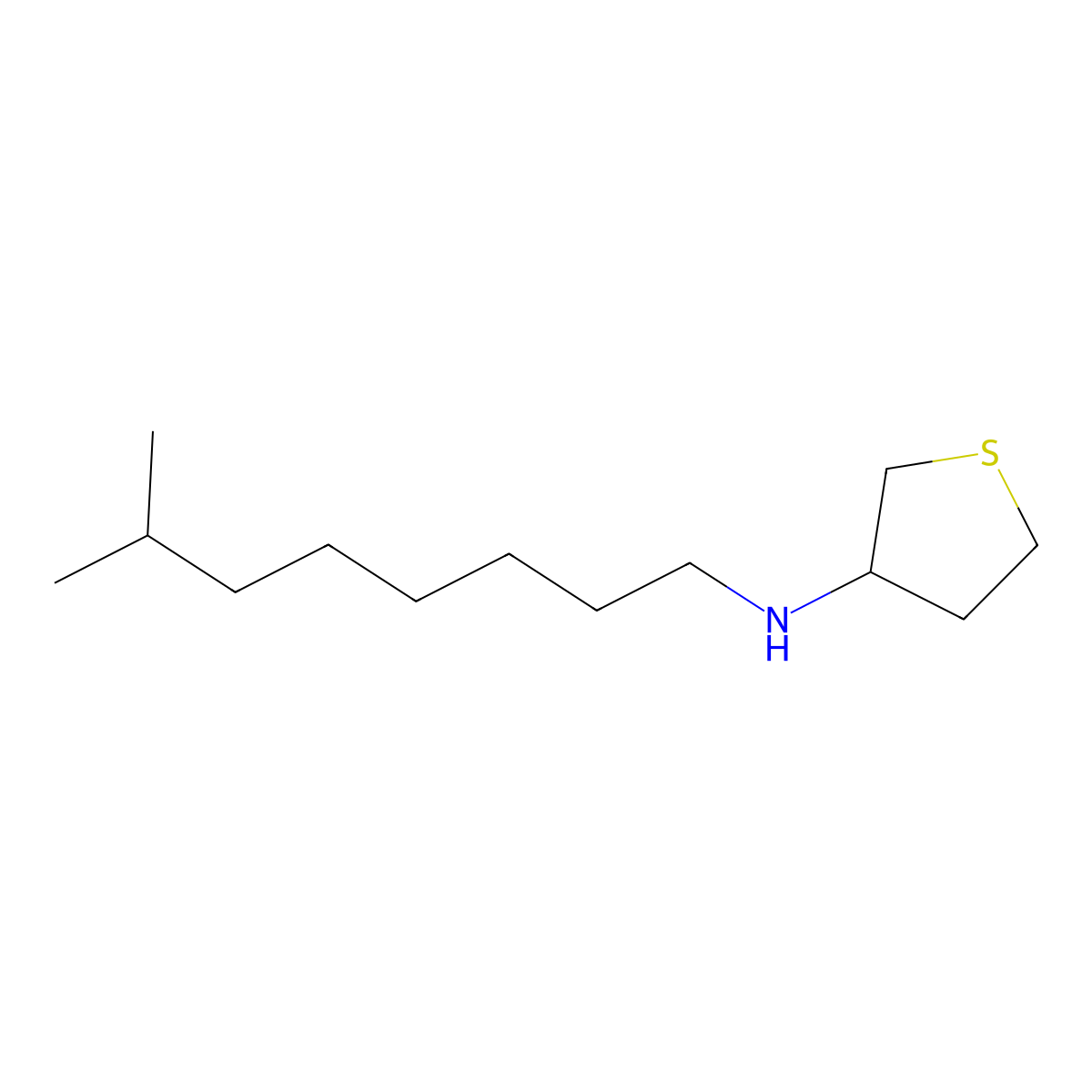 N-(7-methyloctyl)thiolan-3-amine molecular structure, CAS 1041555-82-1