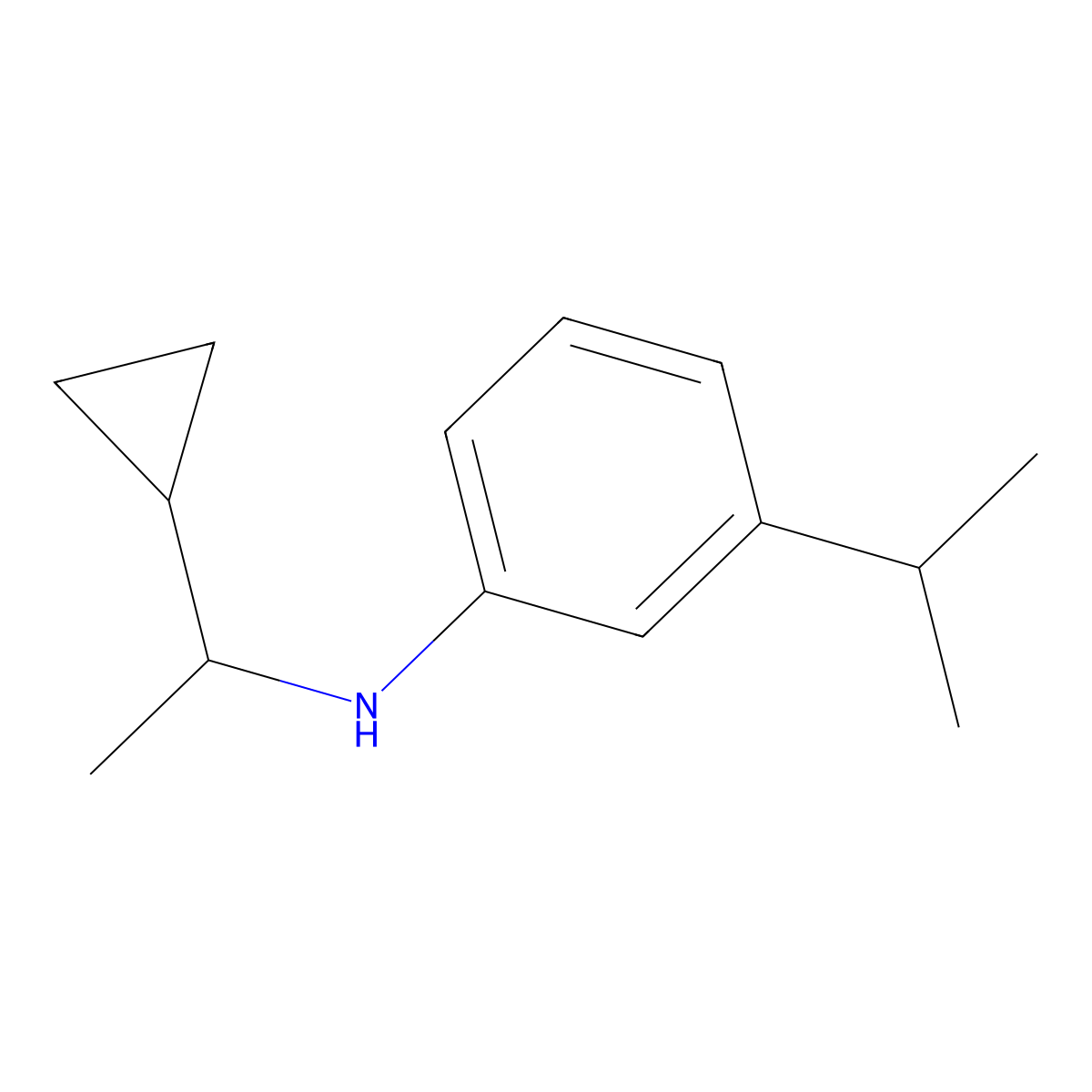 N-(1-Cyclopropylethyl)-3-(propan-2-yl)aniline molecular structure, CAS 1041560-75-1