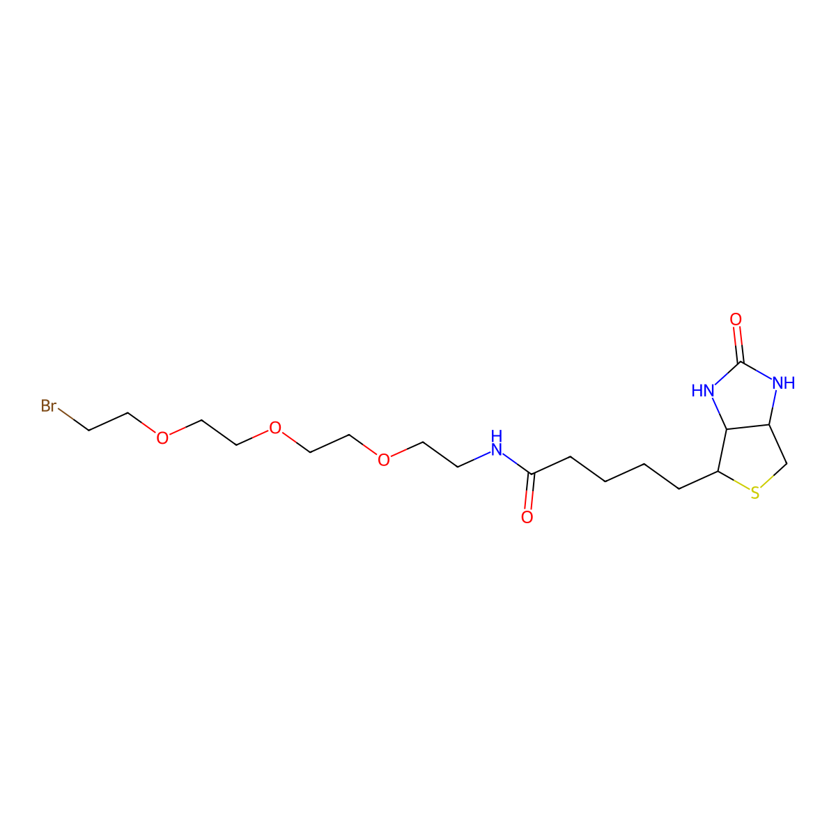 1-Biotinylamino-3,6,9-trioxaundecane-11-bromide molecular structure, CAS 1041766-91-9