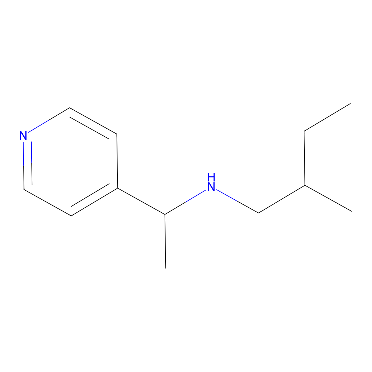 (2-Methylbutyl)[1-(pyridin-4-yl)ethyl]amine molecular structure, CAS 1042528-92-6