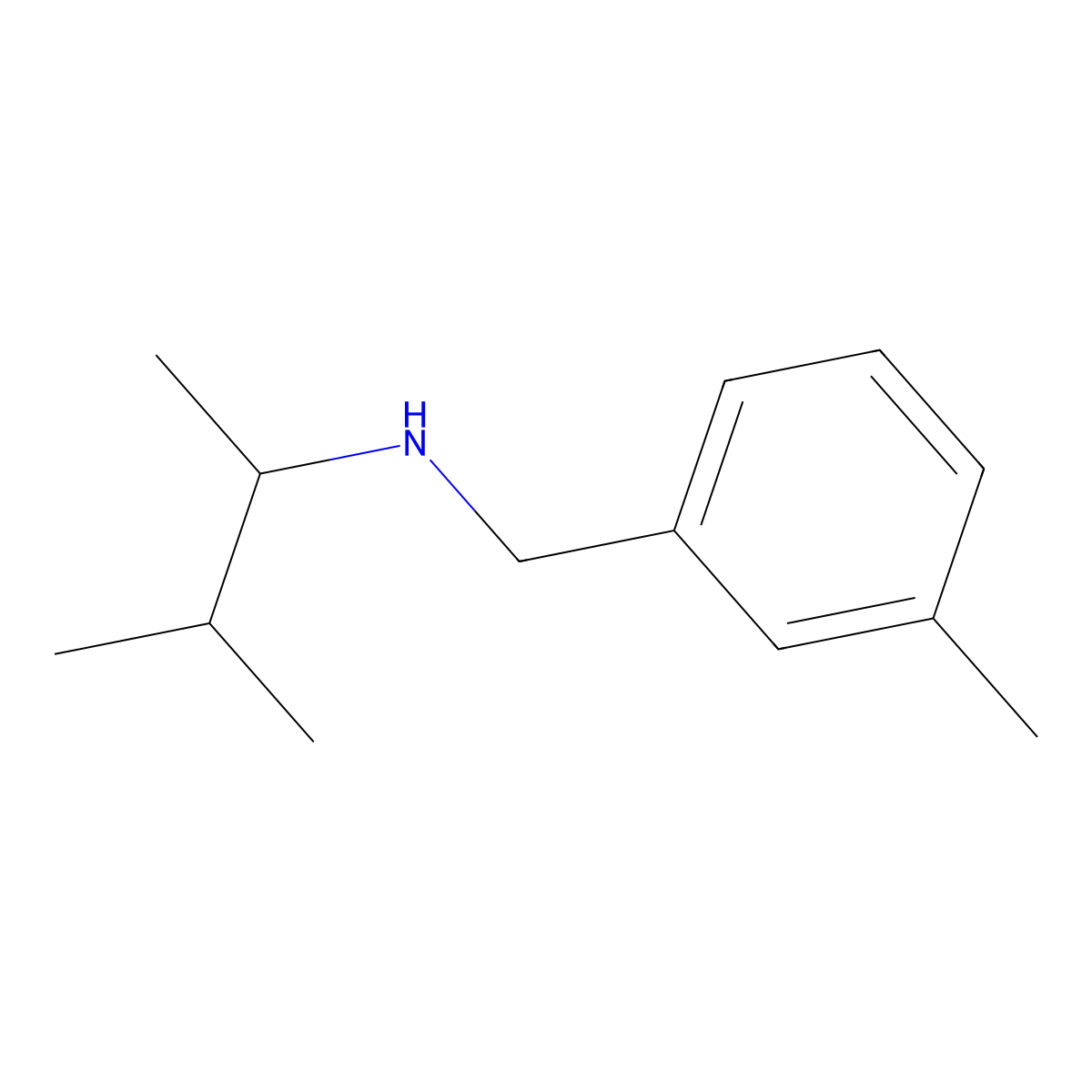 (3-Methylbutan-2-yl)[(3-methylphenyl)methyl]amine molecular structure, CAS 1042543-28-1