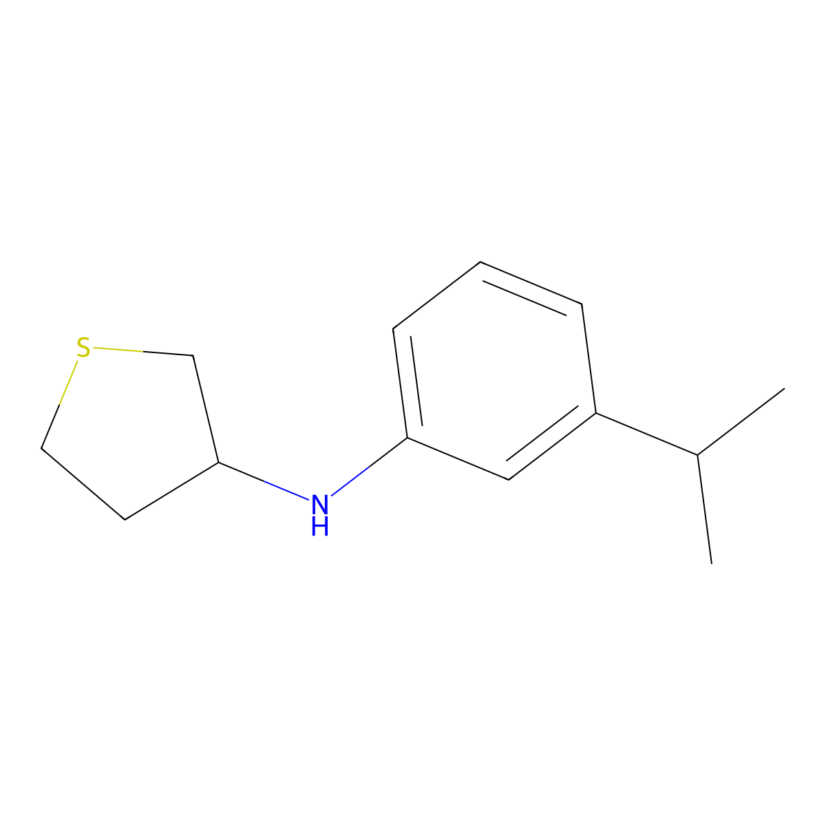 N-[3-(Propan-2-yl)phenyl]thiolan-3-amine molecular structure, CAS 1042566-72-2