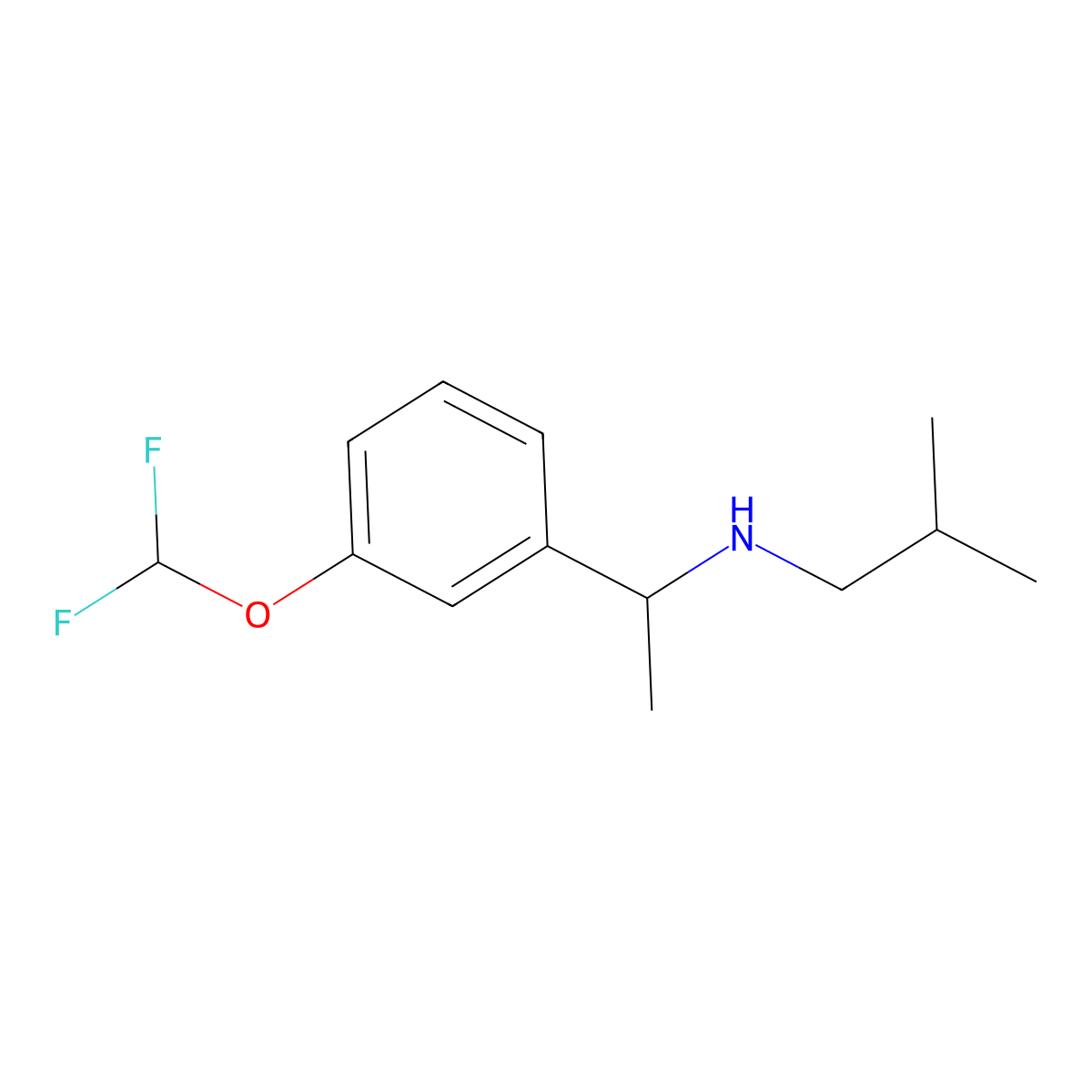 {1-[3-(Difluoromethoxy)phenyl]ethyl}(2-methylpropyl)amine molecular structure, CAS 1042573-52-3