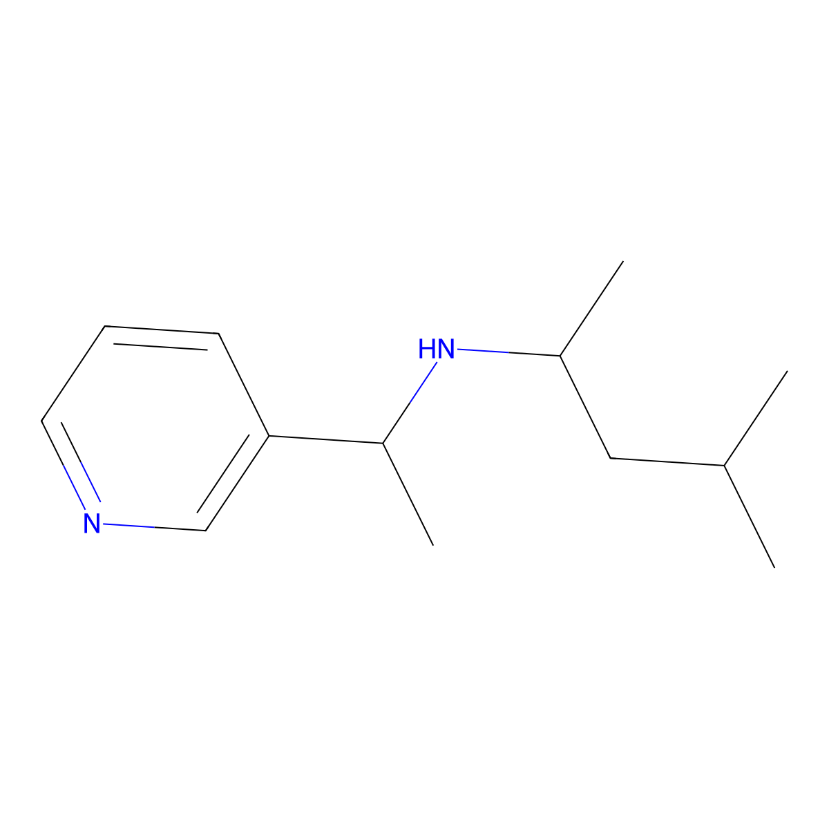 (4-Methylpentan-2-yl)[1-(pyridin-3-yl)ethyl]amine molecular structure, CAS 1042582-50-2
