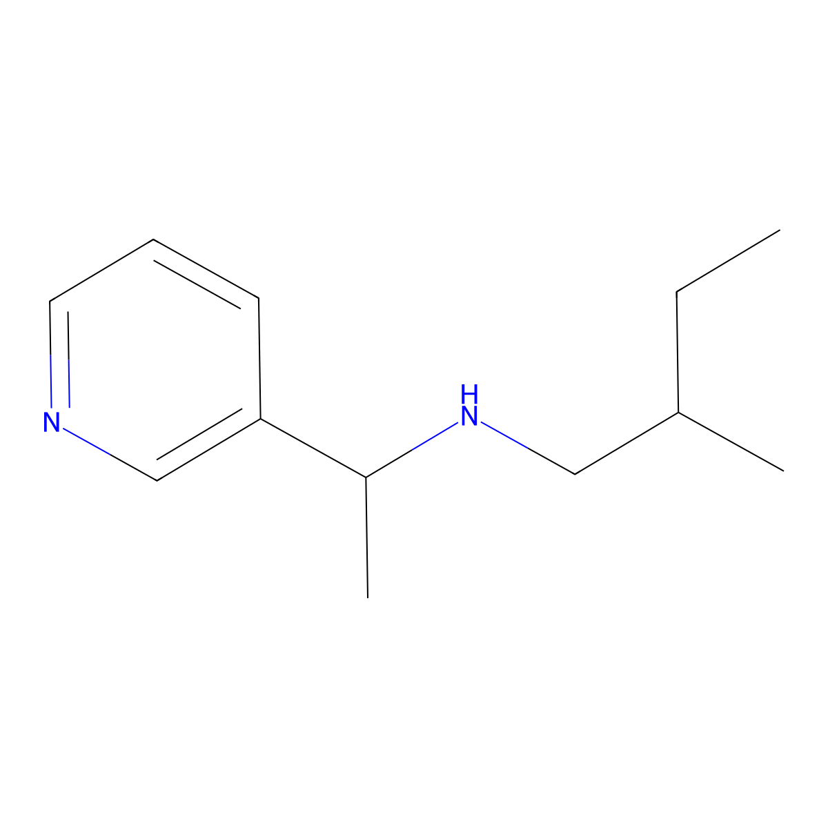 (2-Methylbutyl)[1-(pyridin-3-yl)ethyl]amine molecular structure, CAS 1042583-91-4