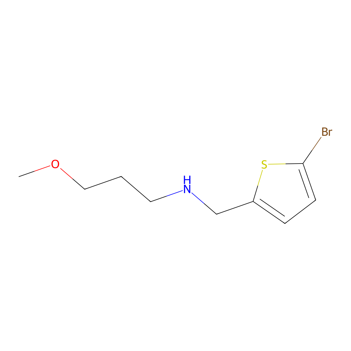 [(5-Bromothiophen-2-yl)methyl](3-methoxypropyl)amine molecular structure, CAS 1042590-59-9