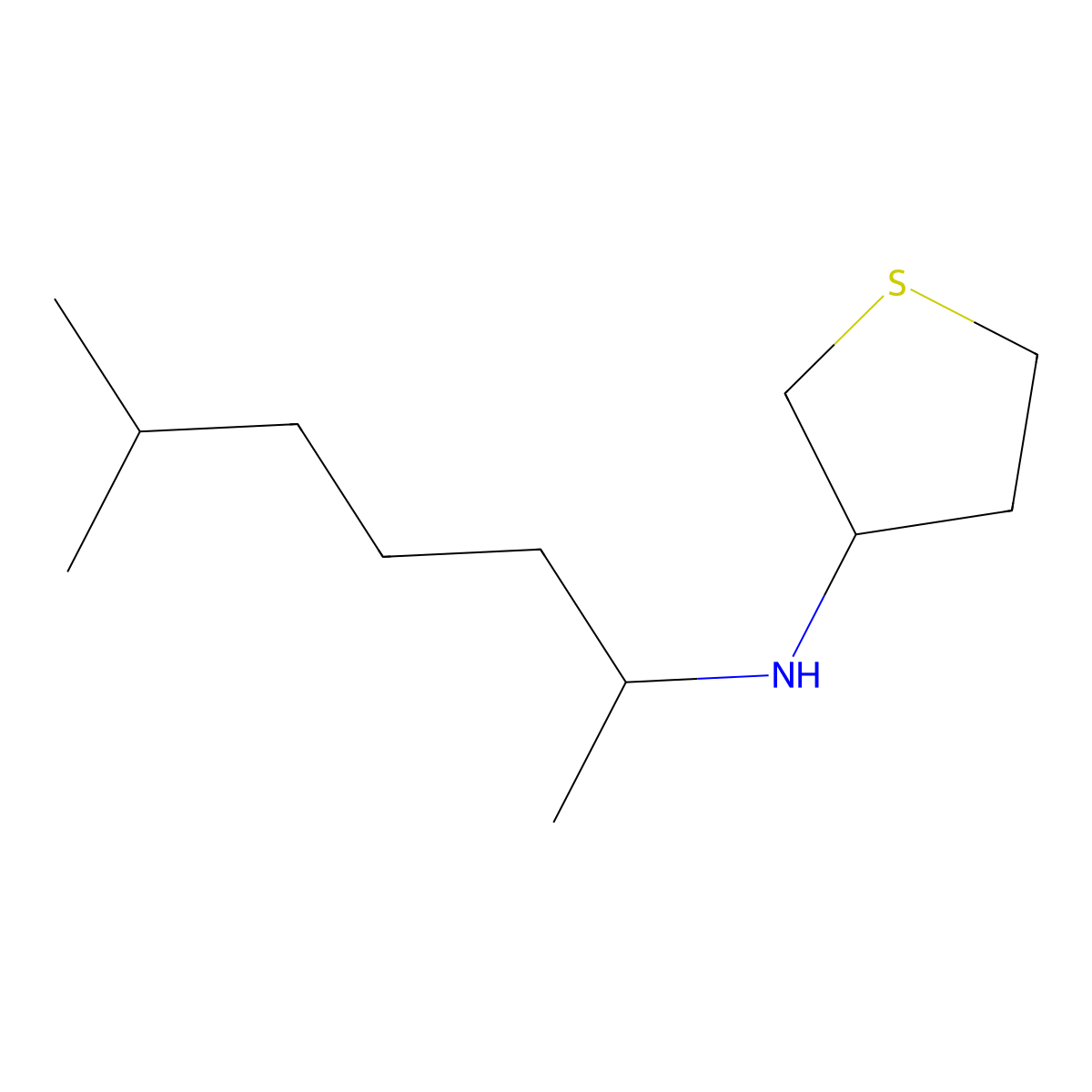 N-(6-methylheptan-2-yl)thiolan-3-amine molecular structure, CAS 1042605-87-7