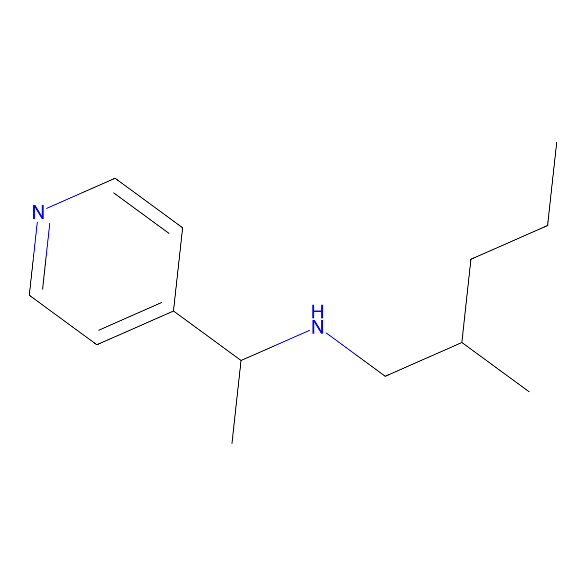 (2-Methylpentyl)[1-(pyridin-4-yl)ethyl]amine molecular structure, CAS 1042612-99-6