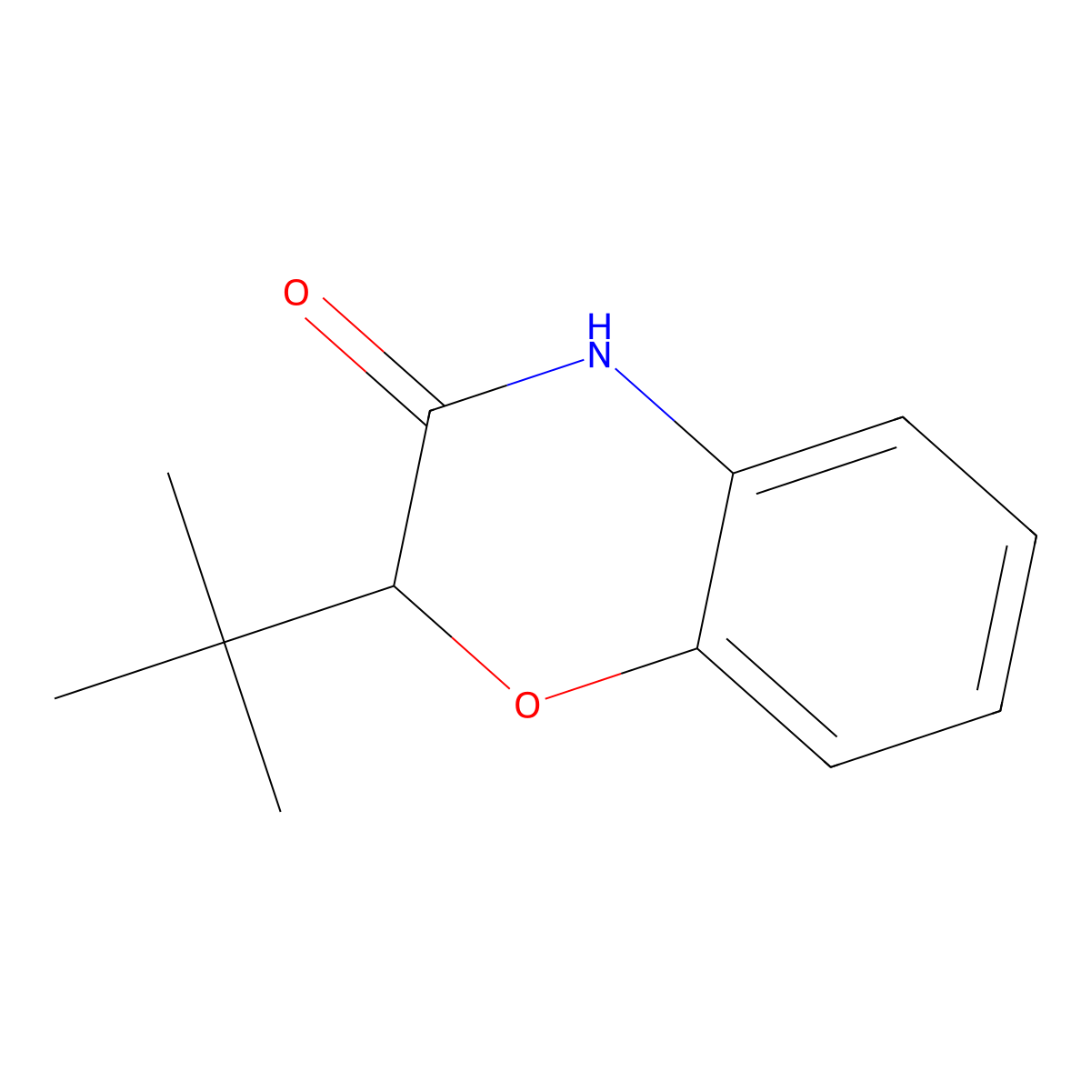 2-tert-butyl-3,4-dihydro-2H-1,4-benzoxazin-3-one molecular structure, CAS 104351-15-7