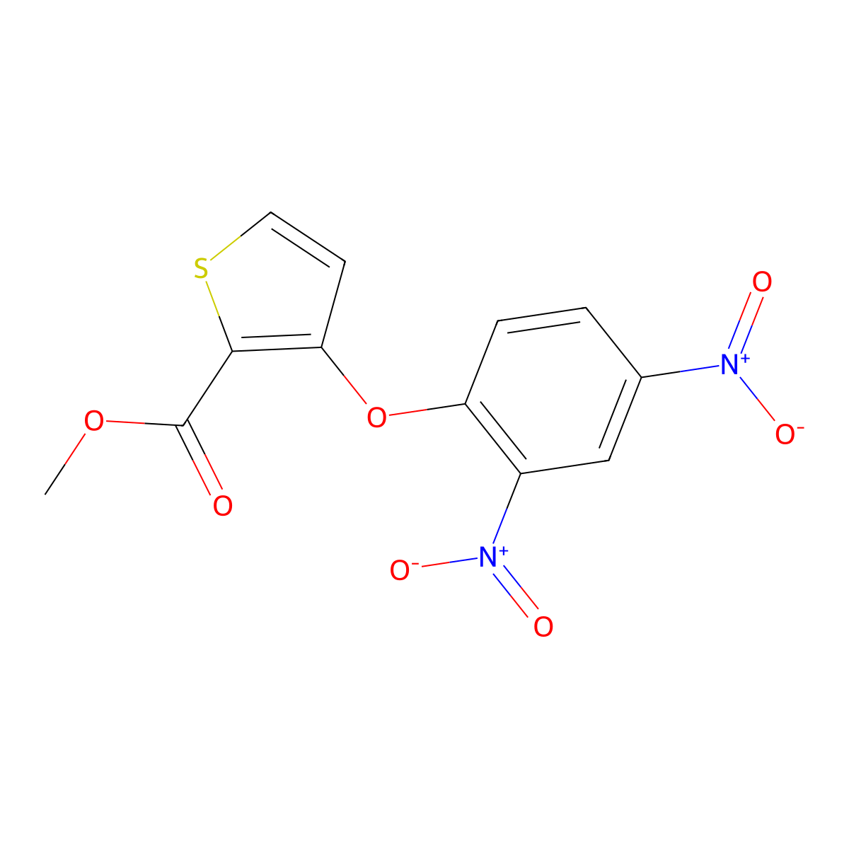 Methyl 3-(2,4-dinitrophenoxy)thiophene-2-carboxylate molecular structure, CAS 104636-76-2