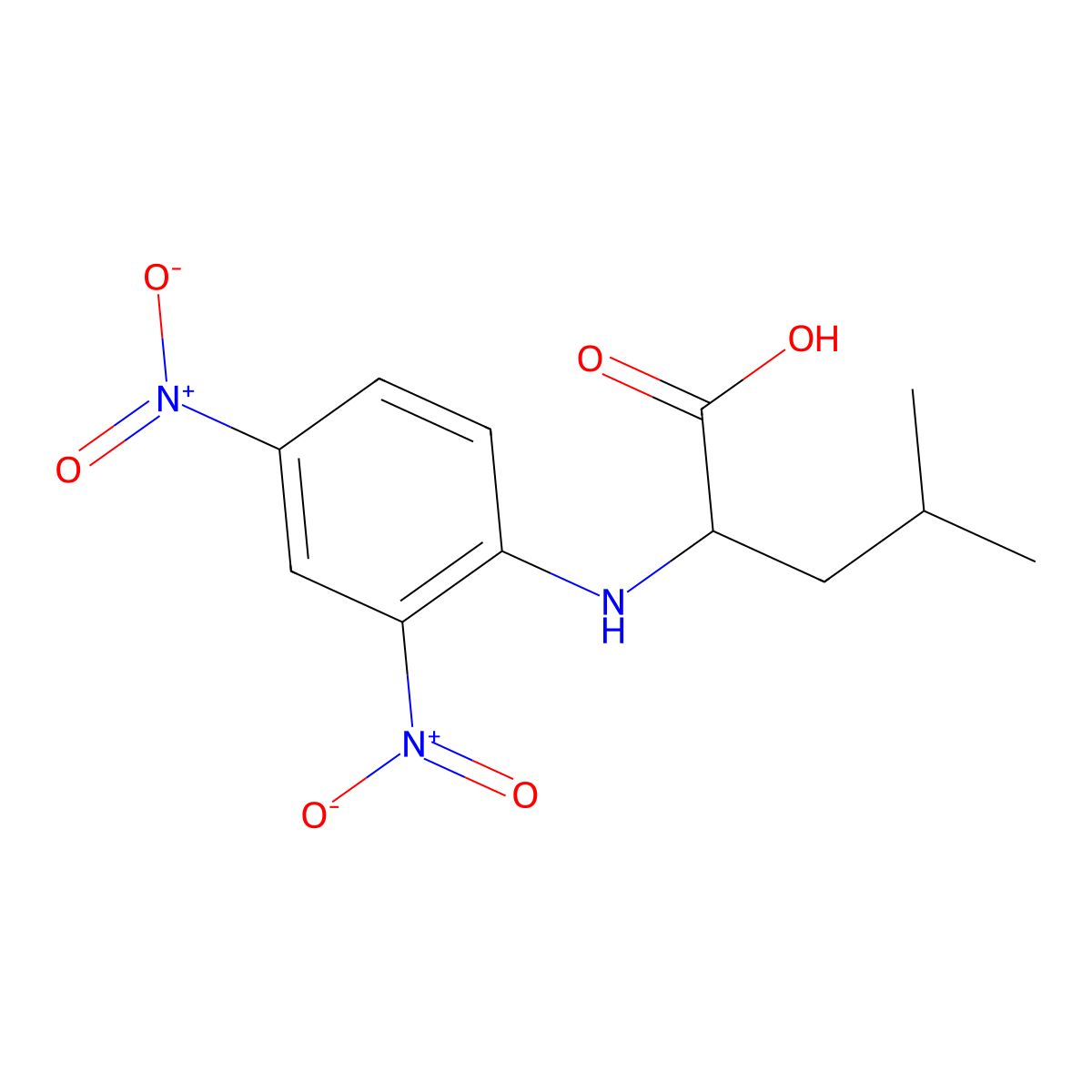 N-(2,4-Dinitrophenyl)-DL-leucine molecular structure, CAS 10484-03-4