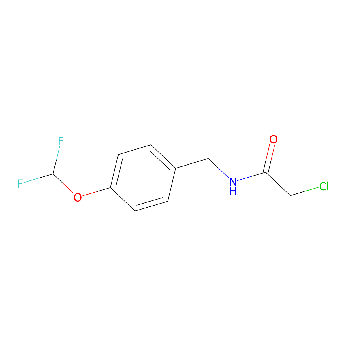 2-Chloro-N-[[4-(difluoromethoxy)phenyl]methyl]acetamide molecular structure, CAS 1050909-61-9