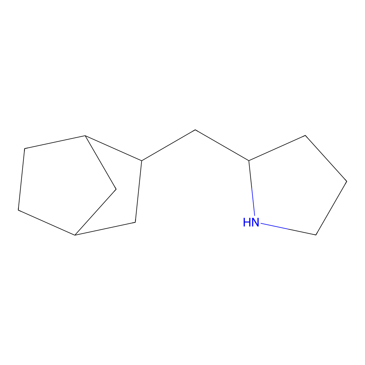 2-{Bicyclo[2.2.1]heptan-2-ylmethyl}pyrrolidine molecular structure, CAS 1053071-17-2