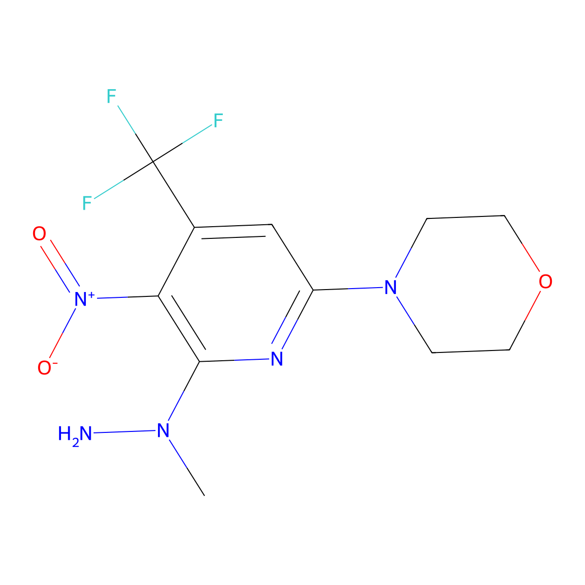 N-Methyl-N-(6-morpholin-4'-yl-3-nitro-4-(trifluoromethyl)pyridin-2-yl)hydrazine molecular structure, CAS 1053658-19-7