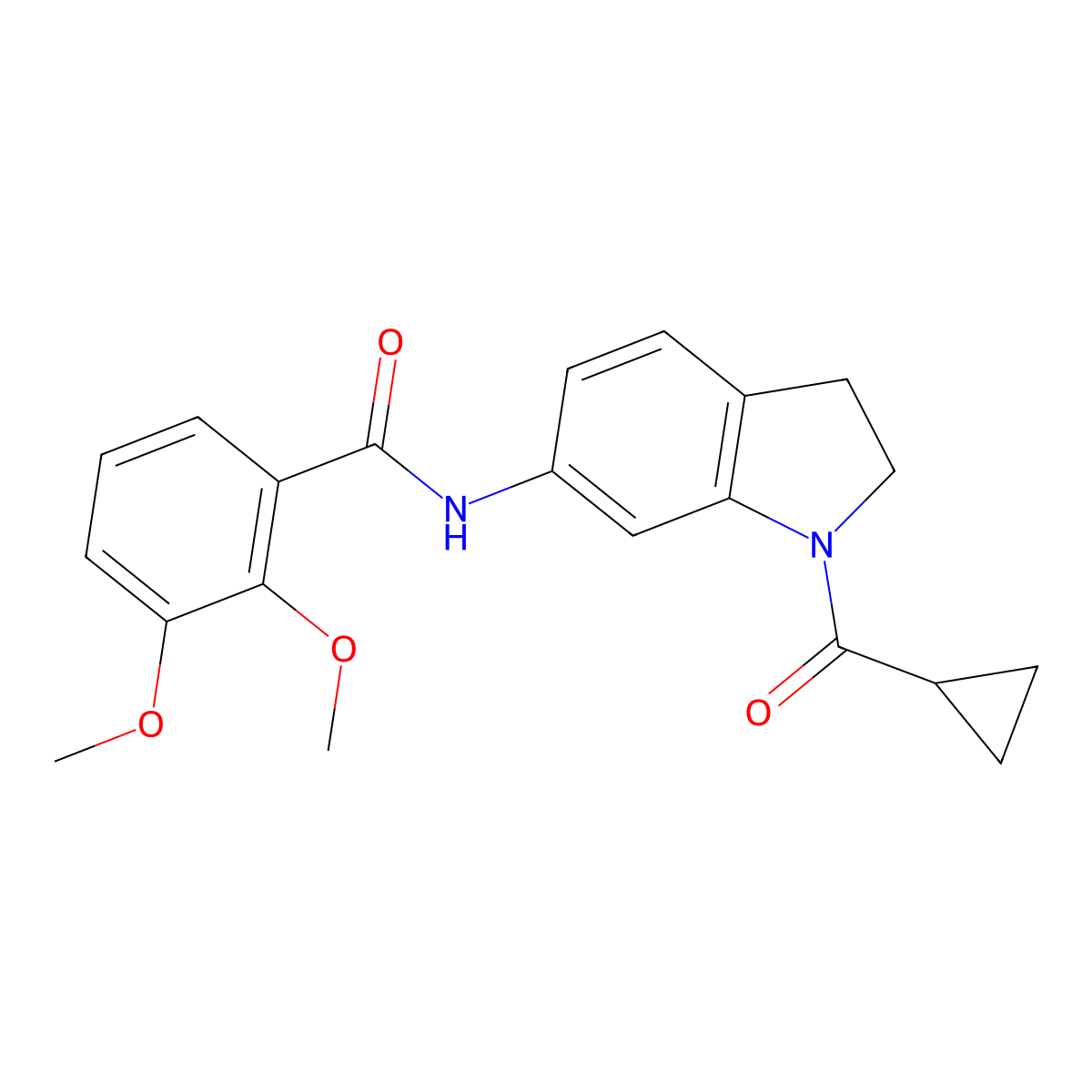 N-(1-cyclopropanecarbonyl-2,3-dihydro-1H-indol-6-yl)-2,3-dimethoxybenzamide molecular structure, CAS 1058237-91-4