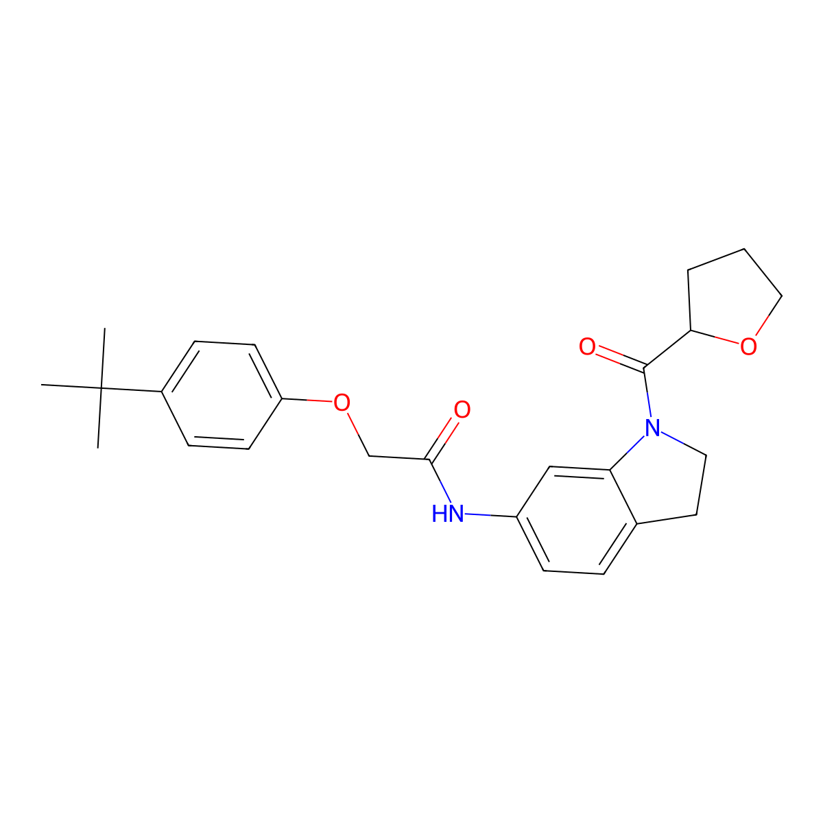 2-(4-(tert-butyl)phenoxy)-N-(1-(tetrahydrofuran-2-carbonyl)indolin-6-yl)acetamide molecular structure, CAS 1060184-39-5