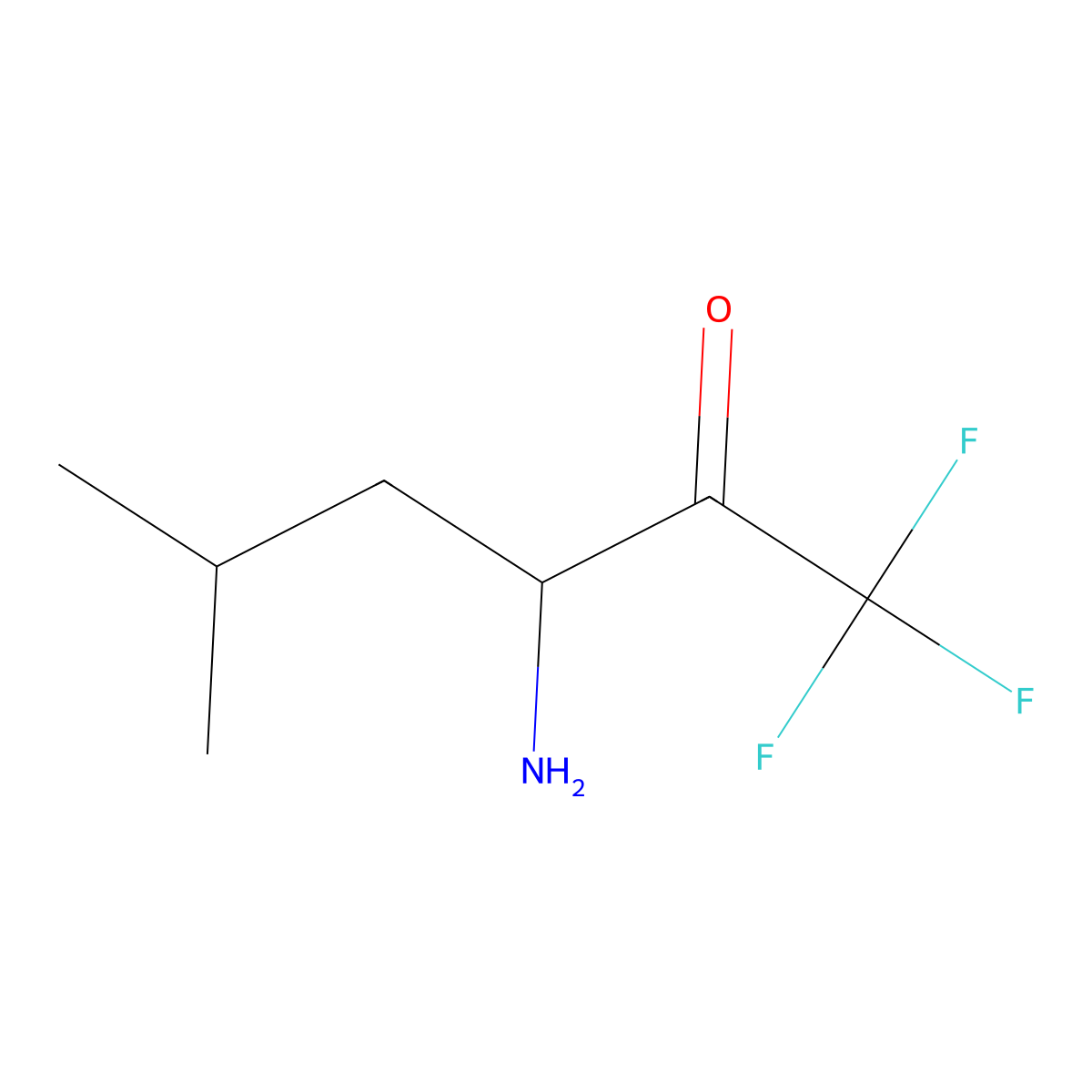 3-Amino-1,1,1-trifluoro-5-methylhexan-2-one molecular structure, CAS 106728-41-0