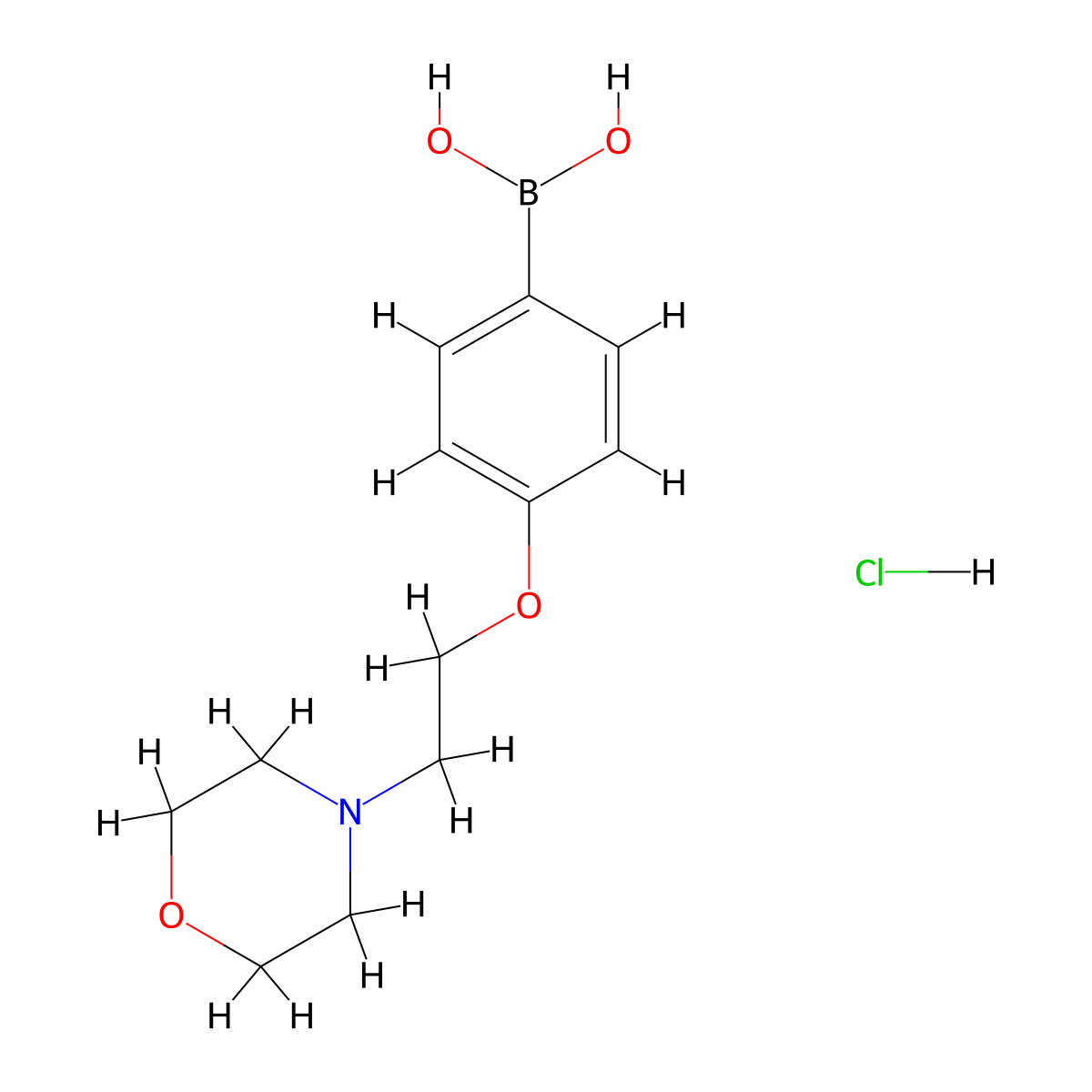 4-(2-Morpholinoethoxy)phenylboronic acid, HCl molecular structure, CAS 1072945-74-4