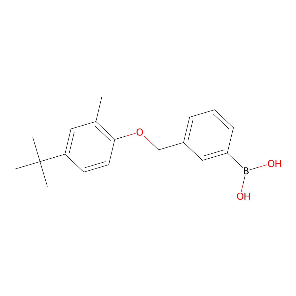 B-(3-((4-(1,1-Dimethylethyl)-2-methylphenoxy)methyl)phenyl)boronic acid molecular structure, CAS 1072951-66-6