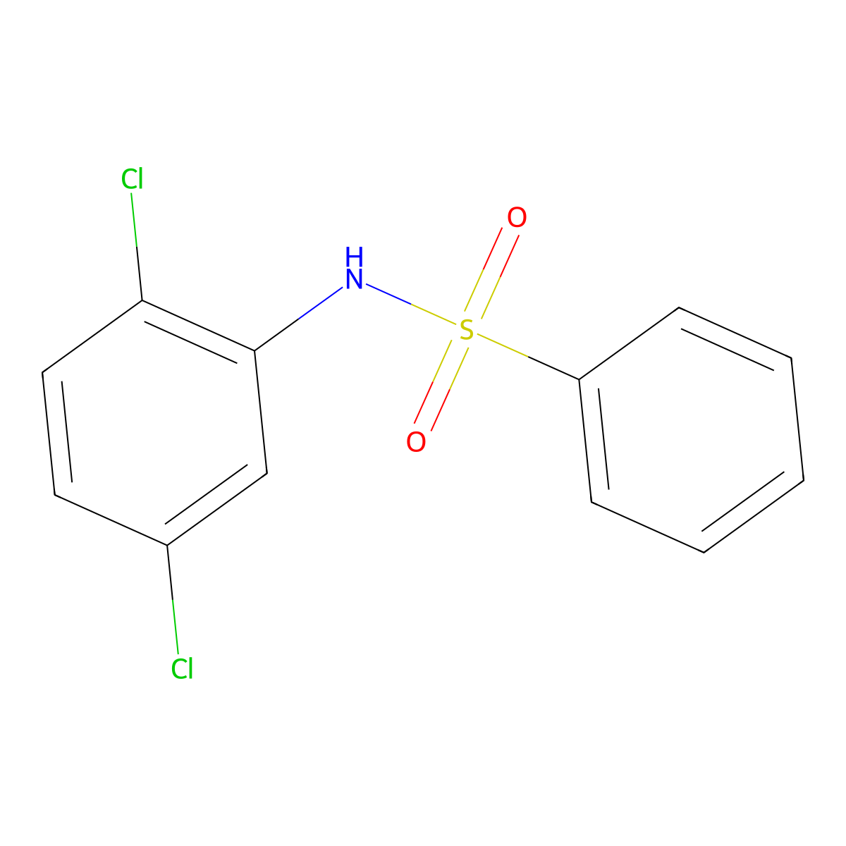 N-(2,5-dichlorophenyl)benzenesulfonamide molecular structure, CAS 107342-08-5