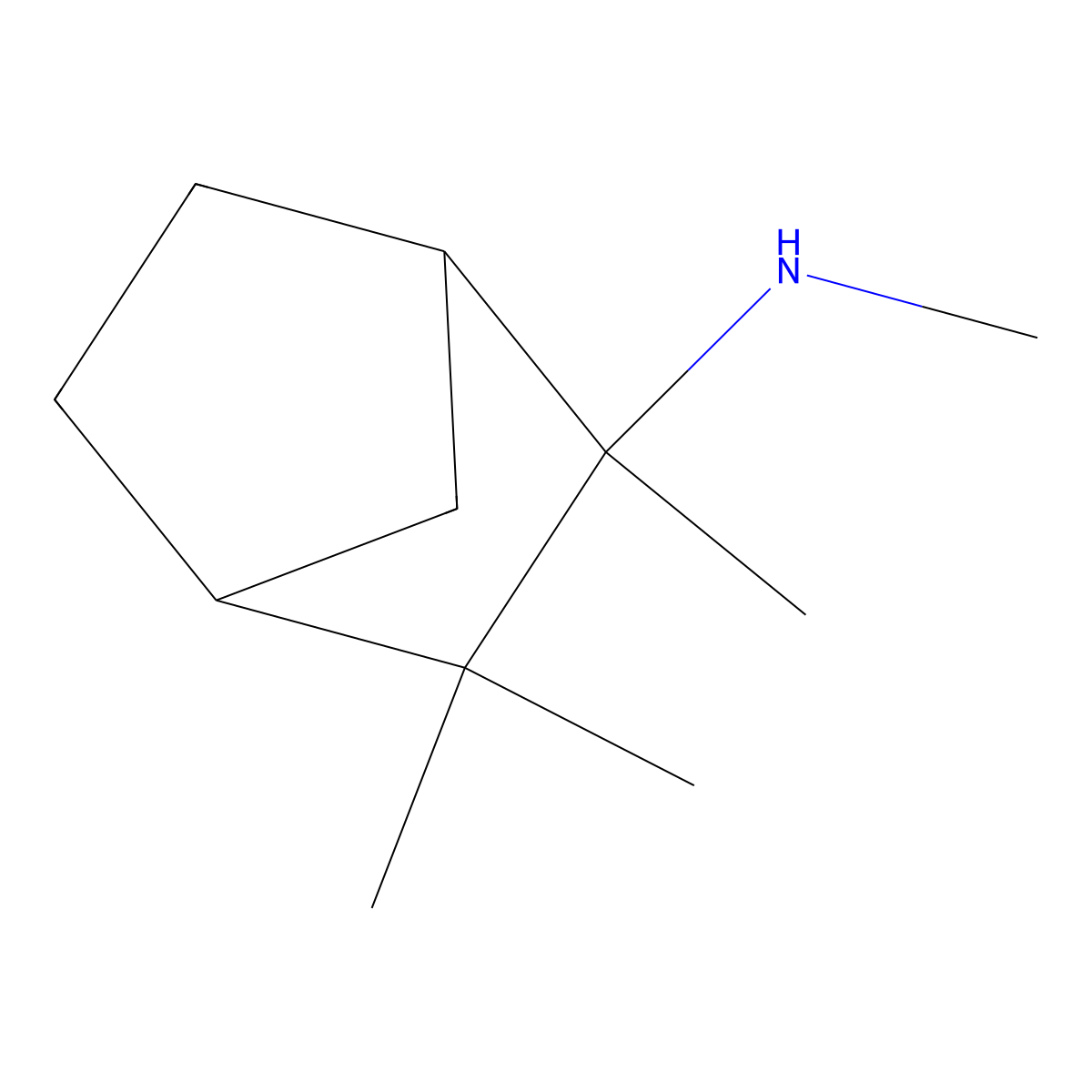 (1s,2r,4r)-N,2,3,3-tetramethylbicyclo[2.2.1]heptan-2-amine molecular structure, CAS 107538-06-7