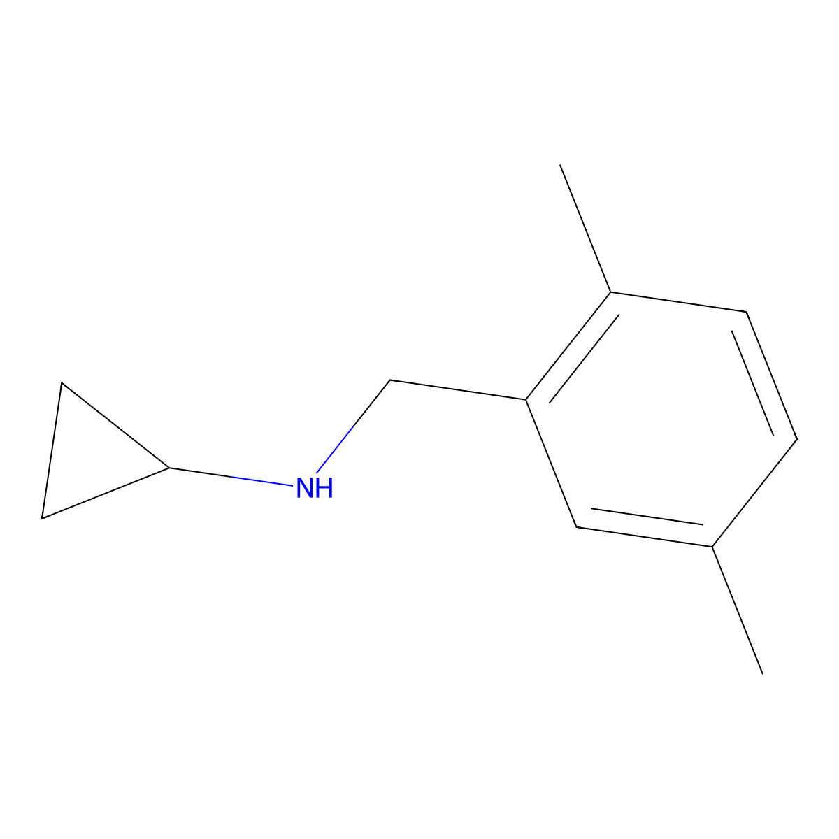 N-[(2,5-dimethylphenyl)methyl]cyclopropanamine molecular structure, CAS 1079178-24-7