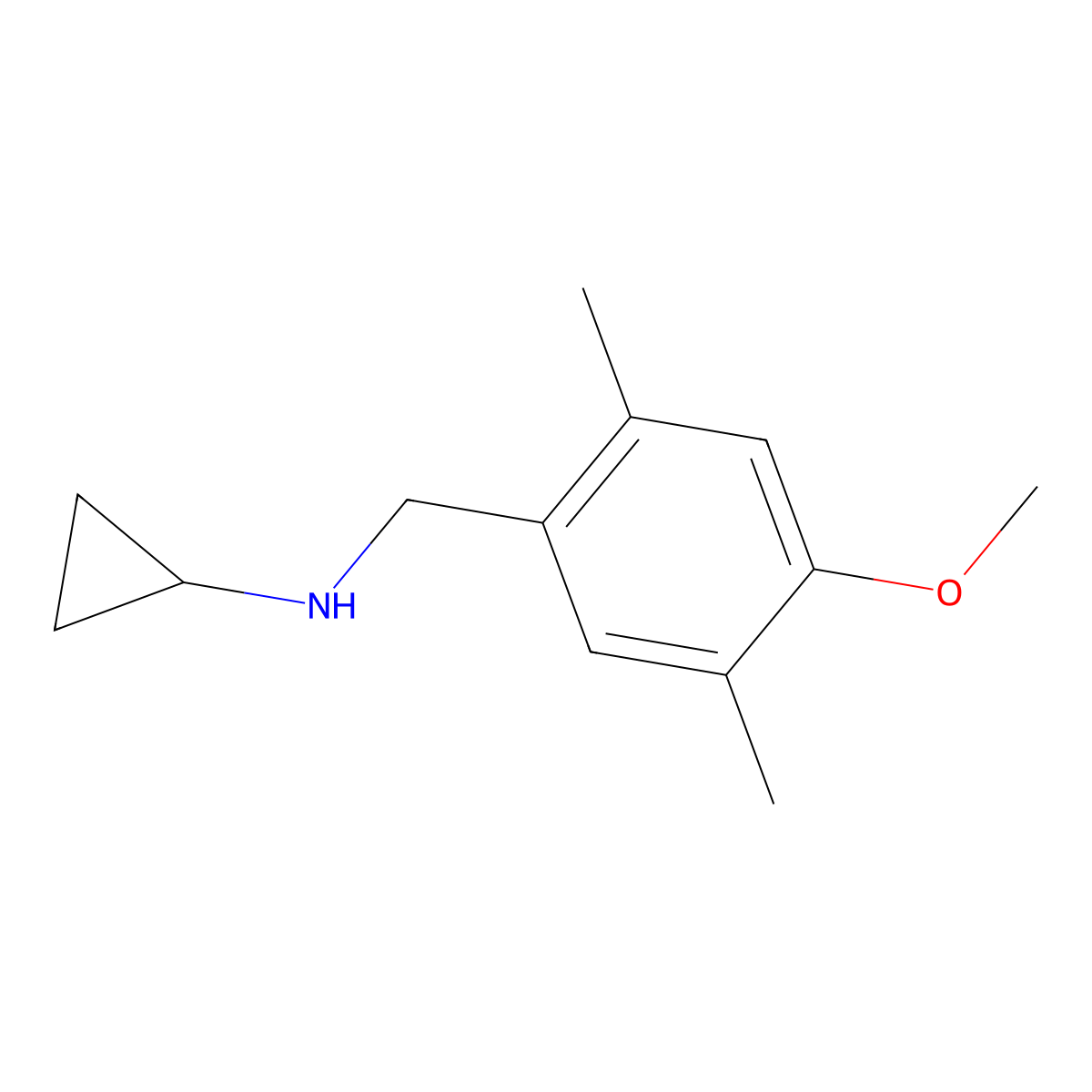 N-[(4-methoxy-2,5-dimethylphenyl)methyl]cyclopropanamine molecular structure, CAS 1079178-93-0