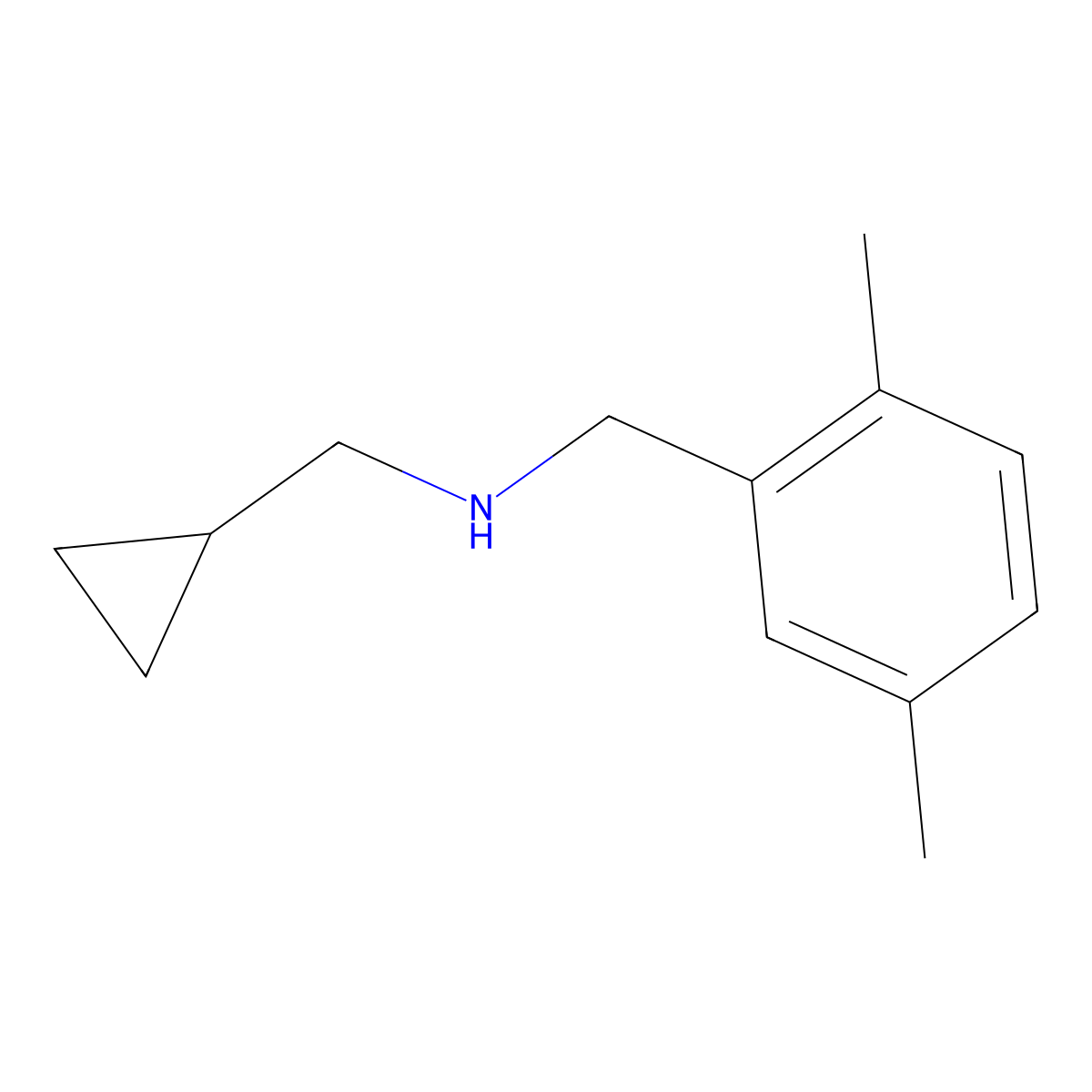 (Cyclopropylmethyl)[(2,5-dimethylphenyl)methyl]amine molecular structure, CAS 1079179-06-8