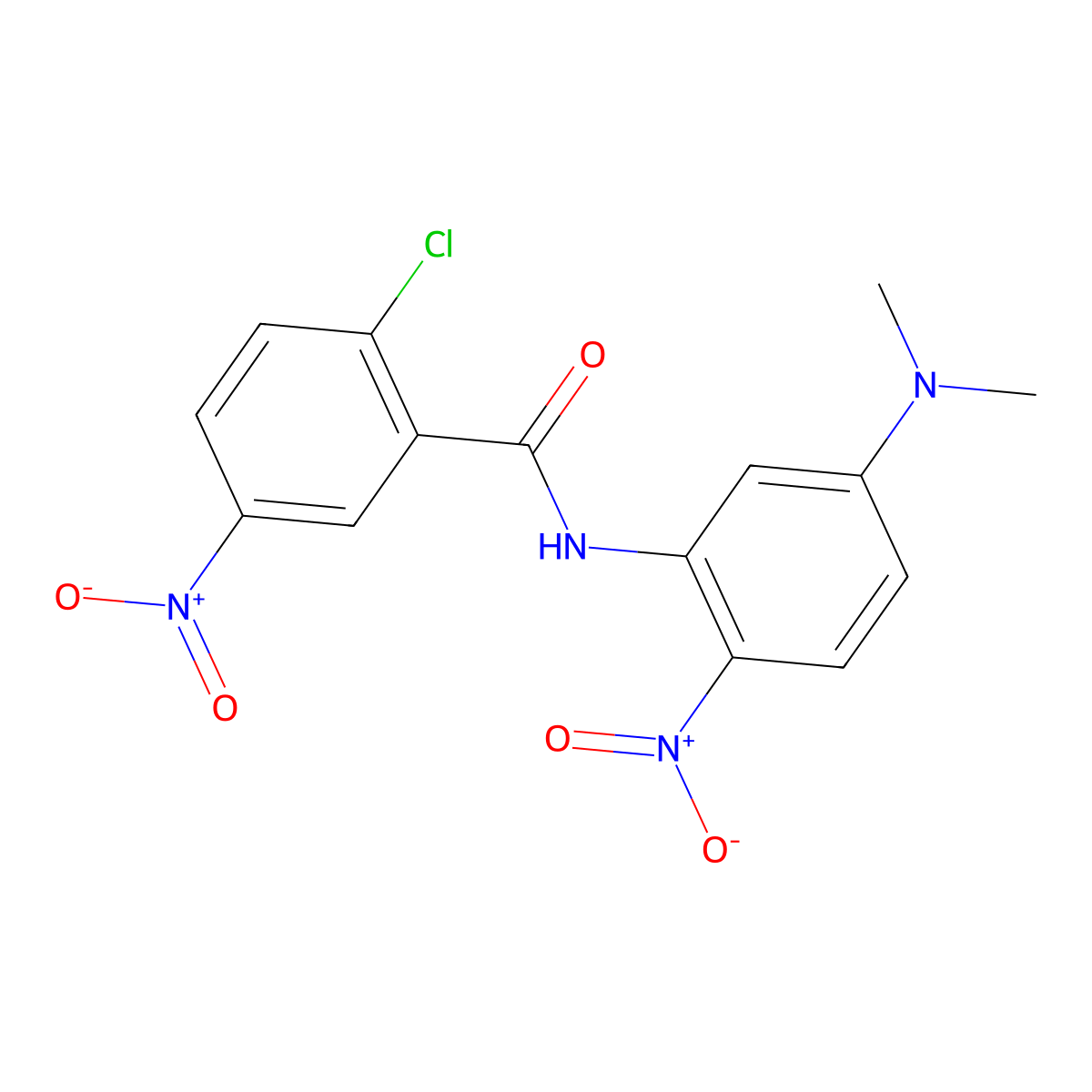 2-Chloro-N-[5-(dimethylamino)-2-nitrophenyl]-5-nitrobenzamide molecular structure, CAS 1079264-82-6