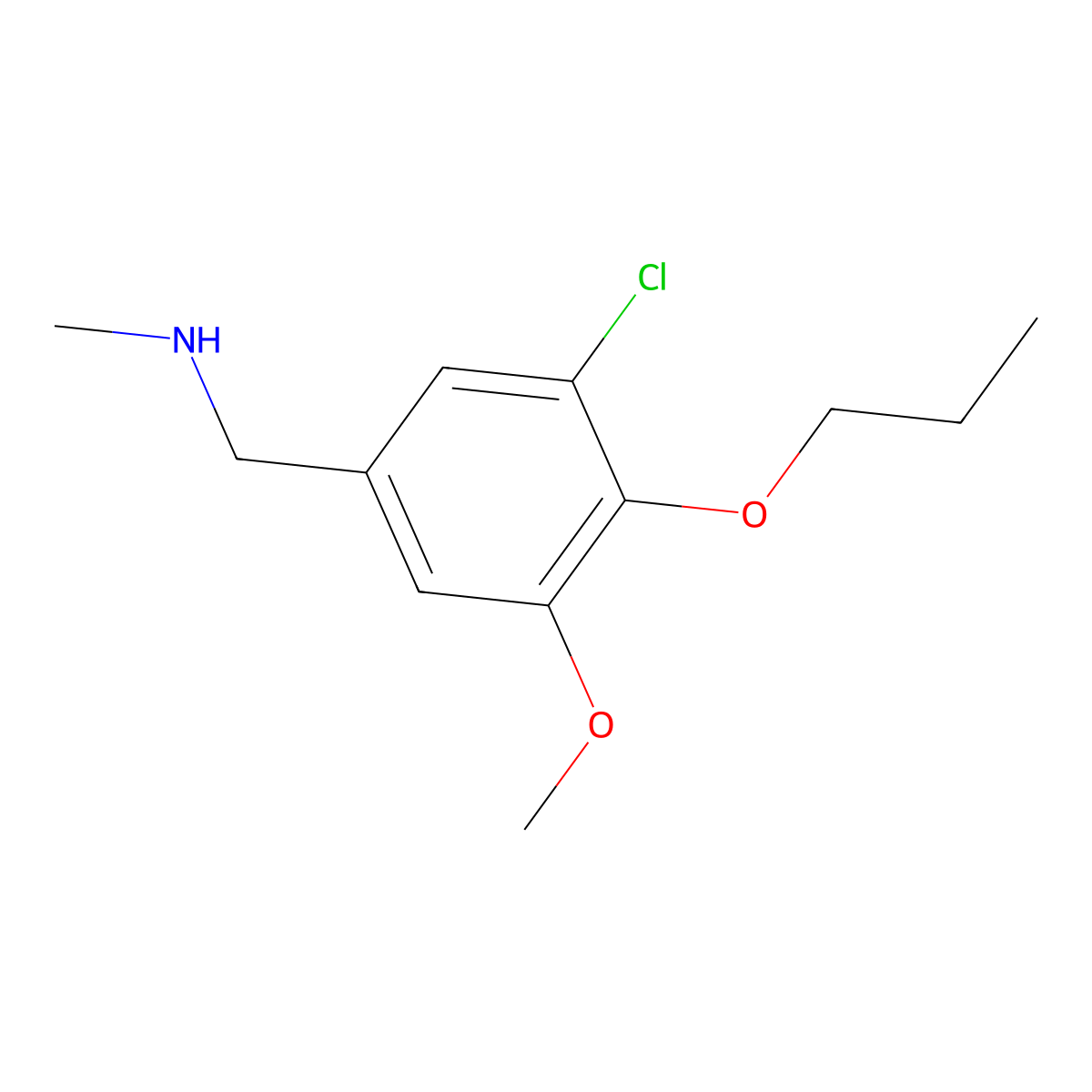 N-(3-chloro-5-methoxy-4-propoxybenzyl)-N-methylamine molecular structure, CAS 1082945-68-3