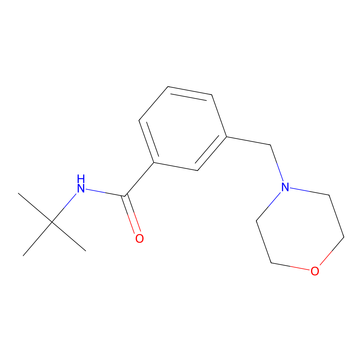 N-tert-butyl-3-(morpholin-4-ylmethyl)benzamide molecular structure, CAS 1083400-78-5