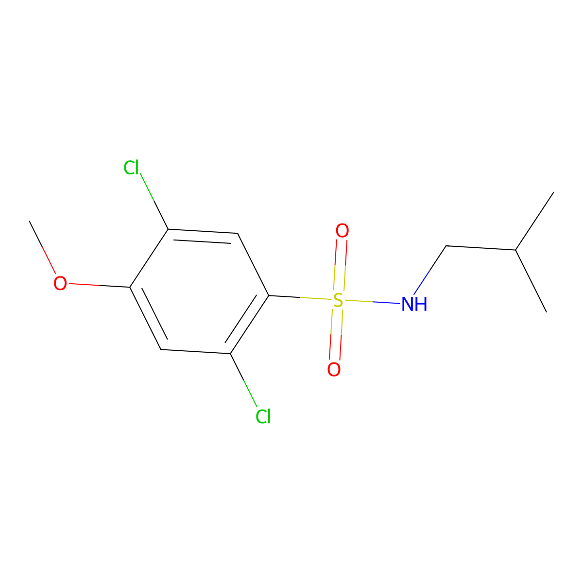 2,5-dichloro-N-isobutyl-4-methoxybenzenesulfonamide molecular structure, CAS 1087639-13-1
