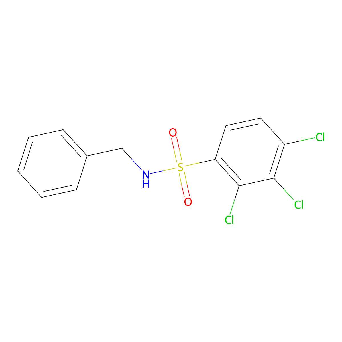 N-benzyl-2,3,4-trichlorobenzenesulfonamide molecular structure, CAS 1087647-04-8