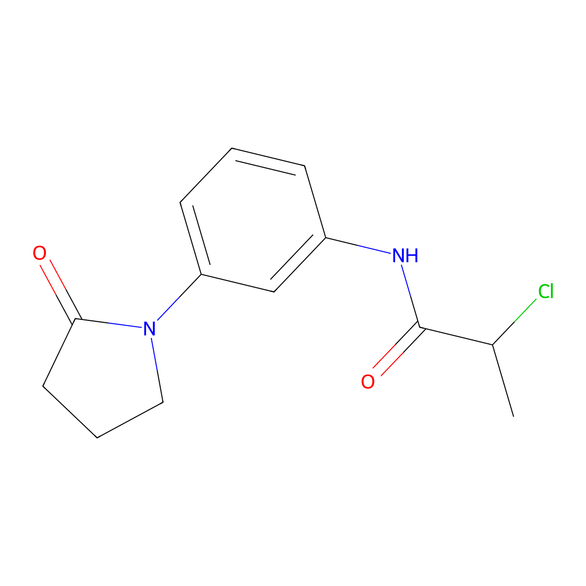 2-chloro-N-(3-(2-oxopyrrolidin-1-yl)phenyl)propanamide molecular structure, CAS 1087784-11-9